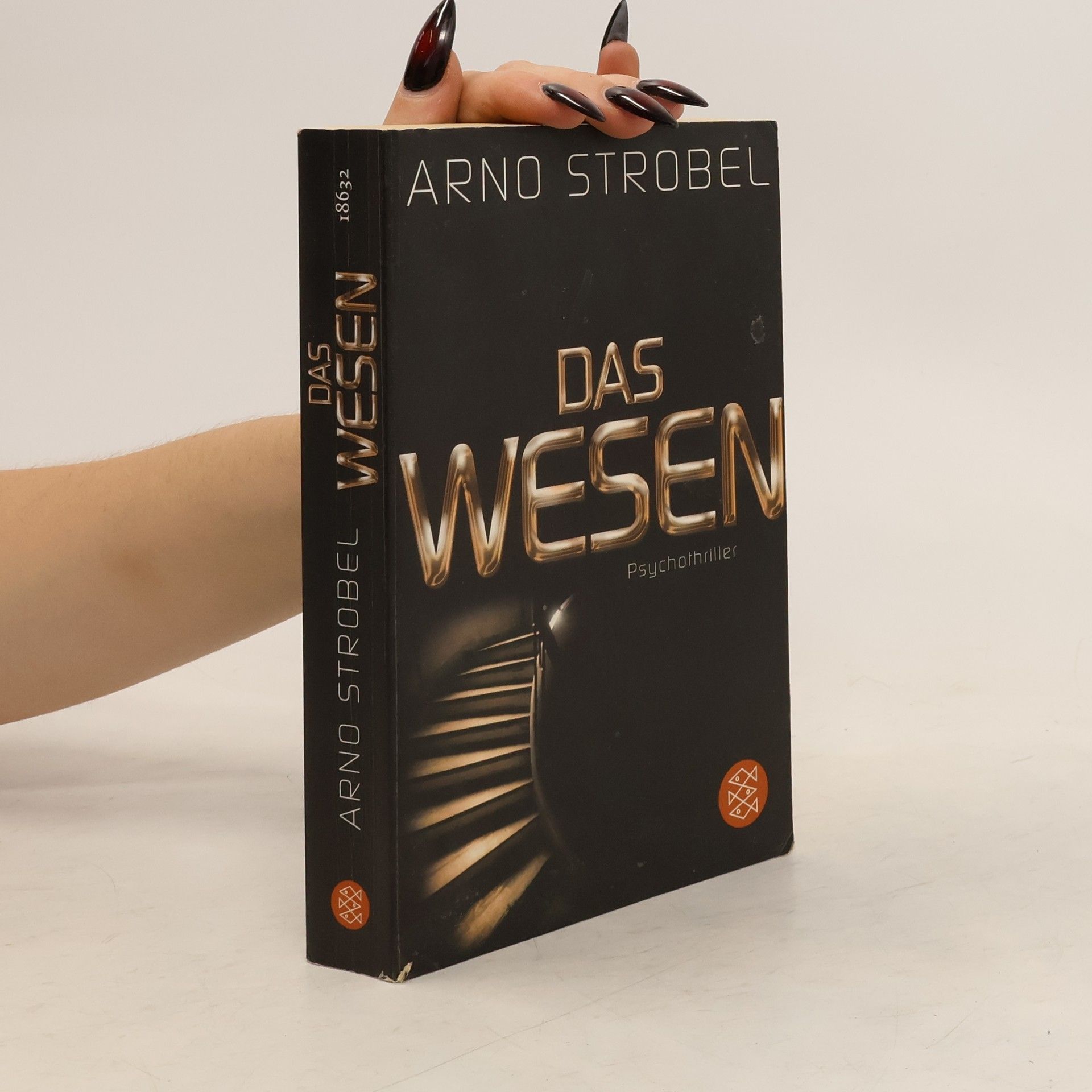 Arno Strobel Das Wesen