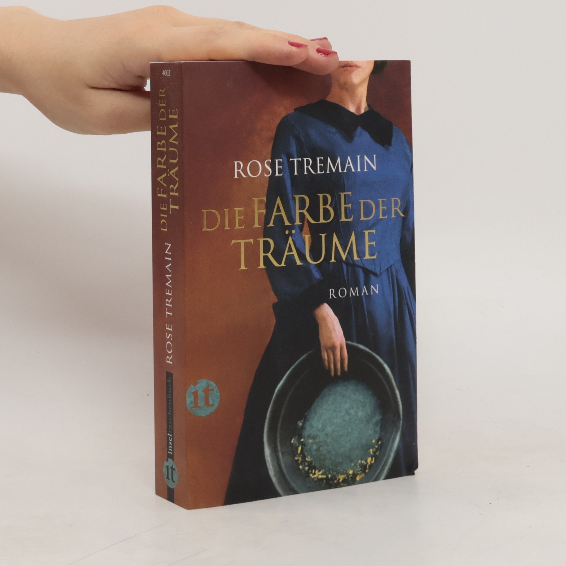 Rose Tremain Die Farbe der Träume
