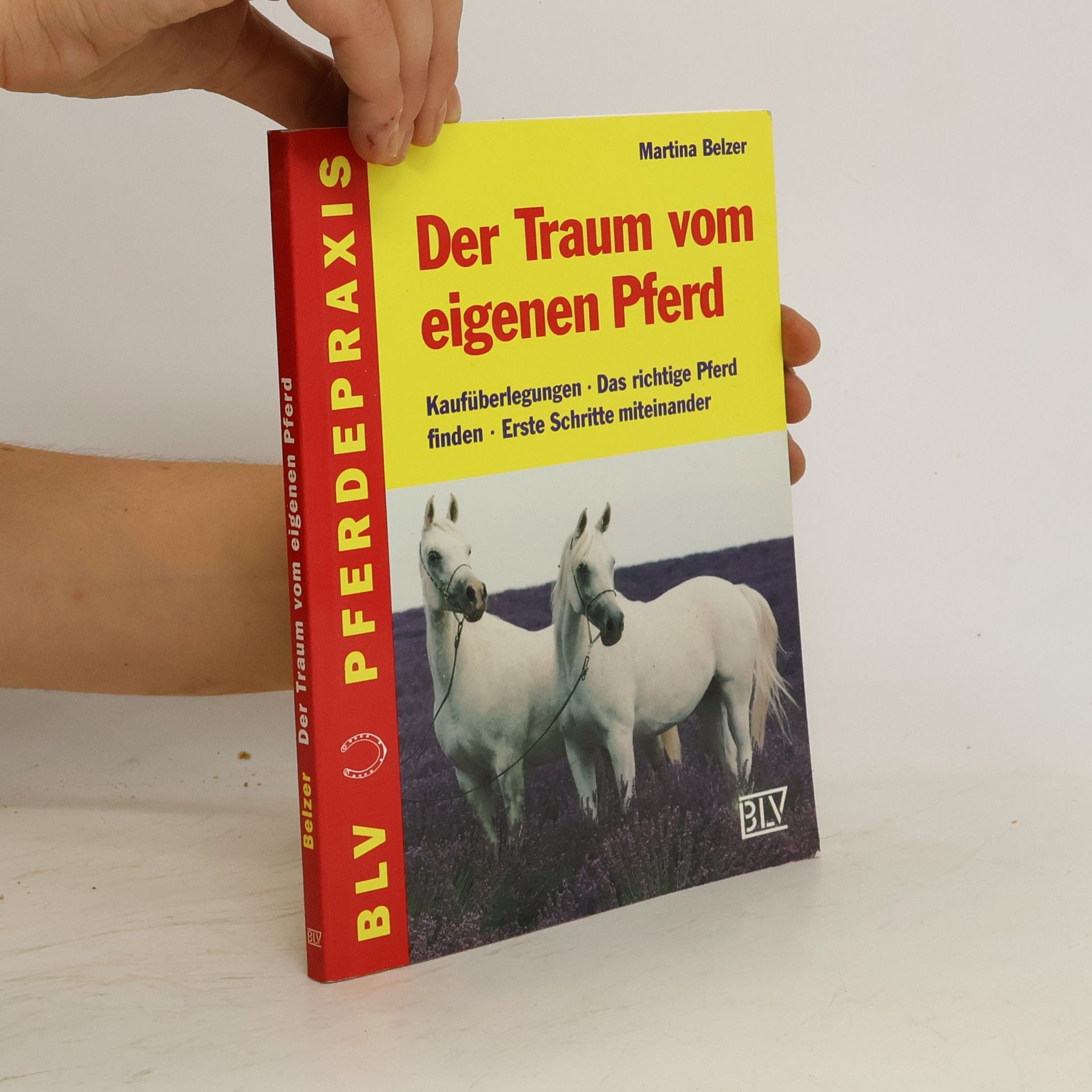 Martina Belzer Der Traum vom eigenen Pferd