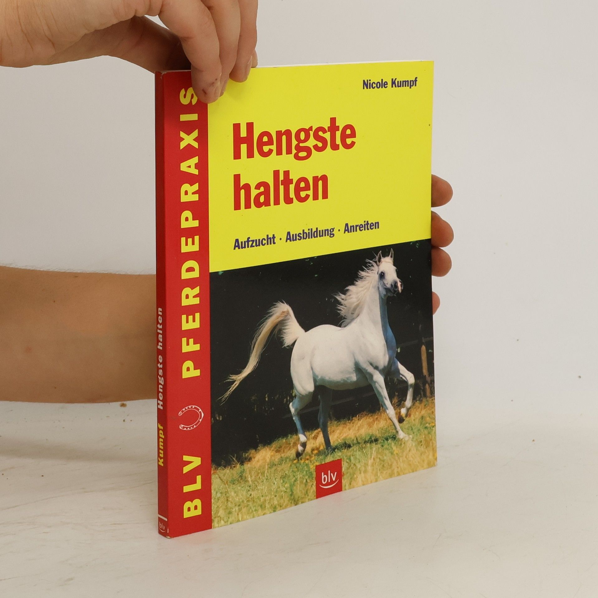 Nicole Kumpf Hengste halten