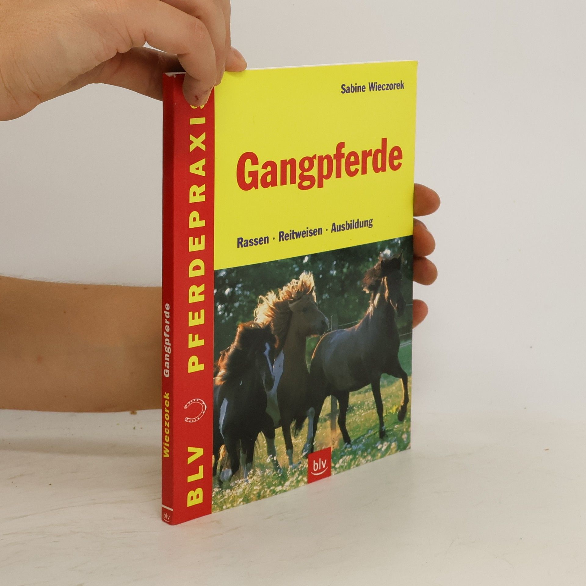 Sabine Wieczorek-Schwarz Gangpferde