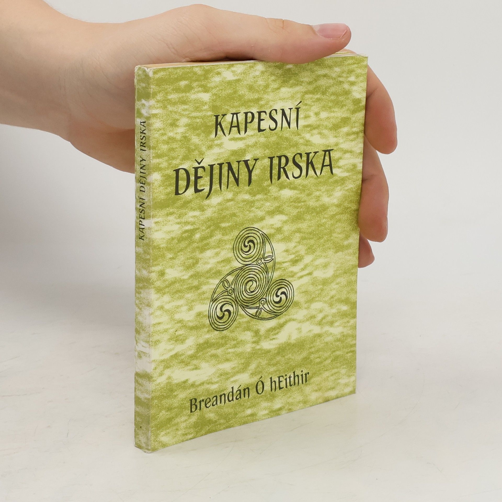 Breandán Ó. Eithir Kapesní dějiny Irska