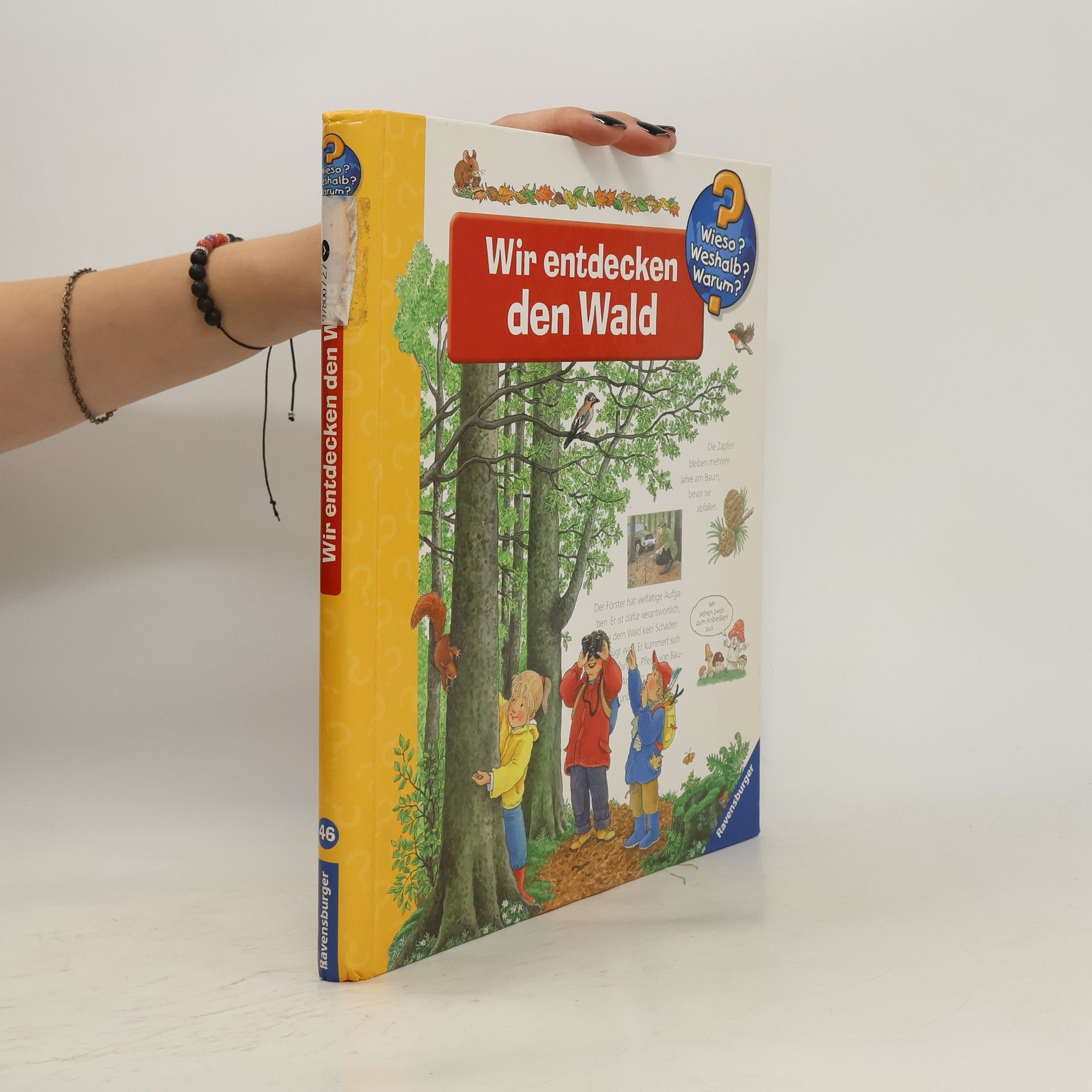 Angela Weinhold Wir entdecken den Wald
