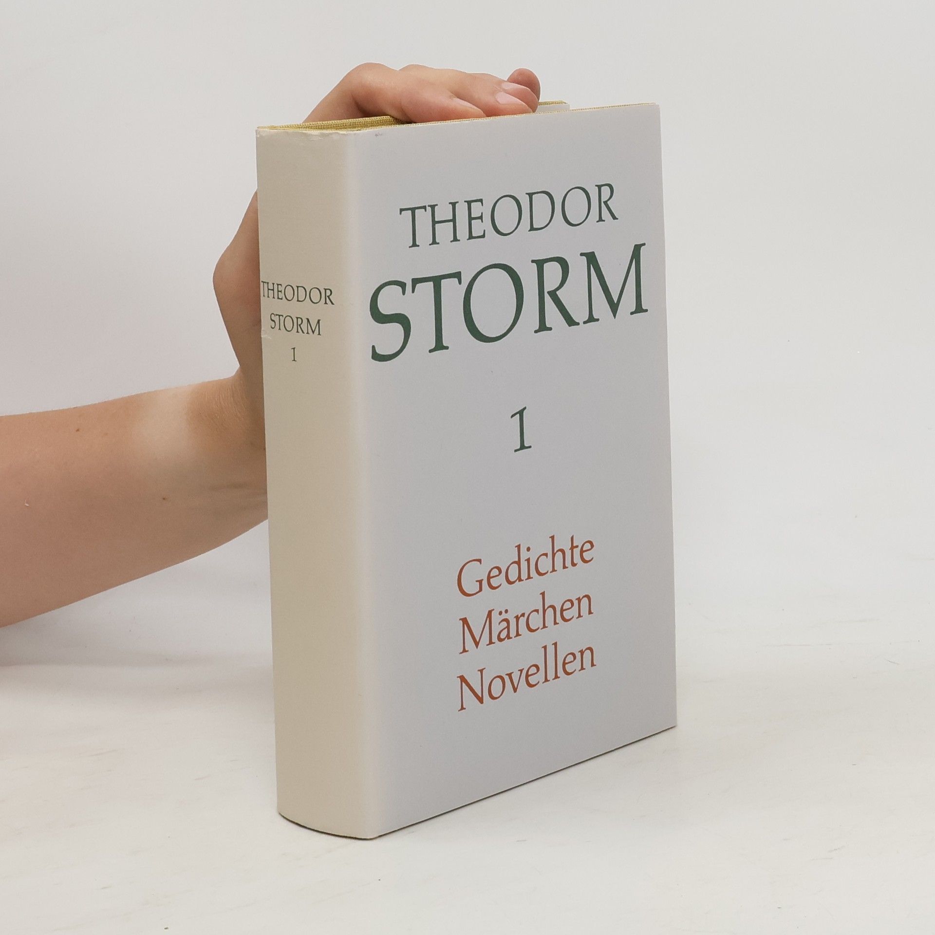 Theodor Storm Gedichte Märchen Novellen 1