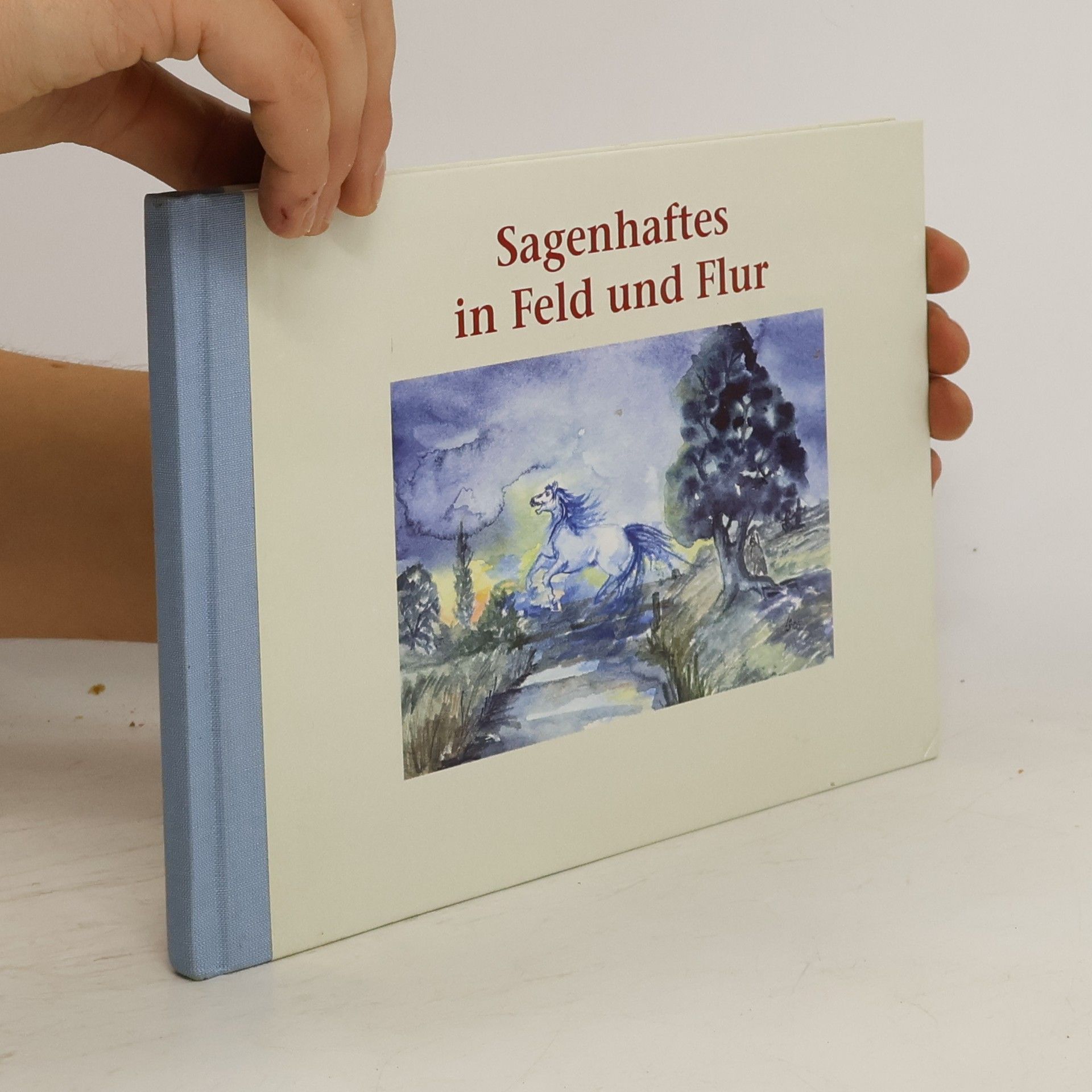 Autorenkollektiv Sagenhaftes aus Feld und Flur