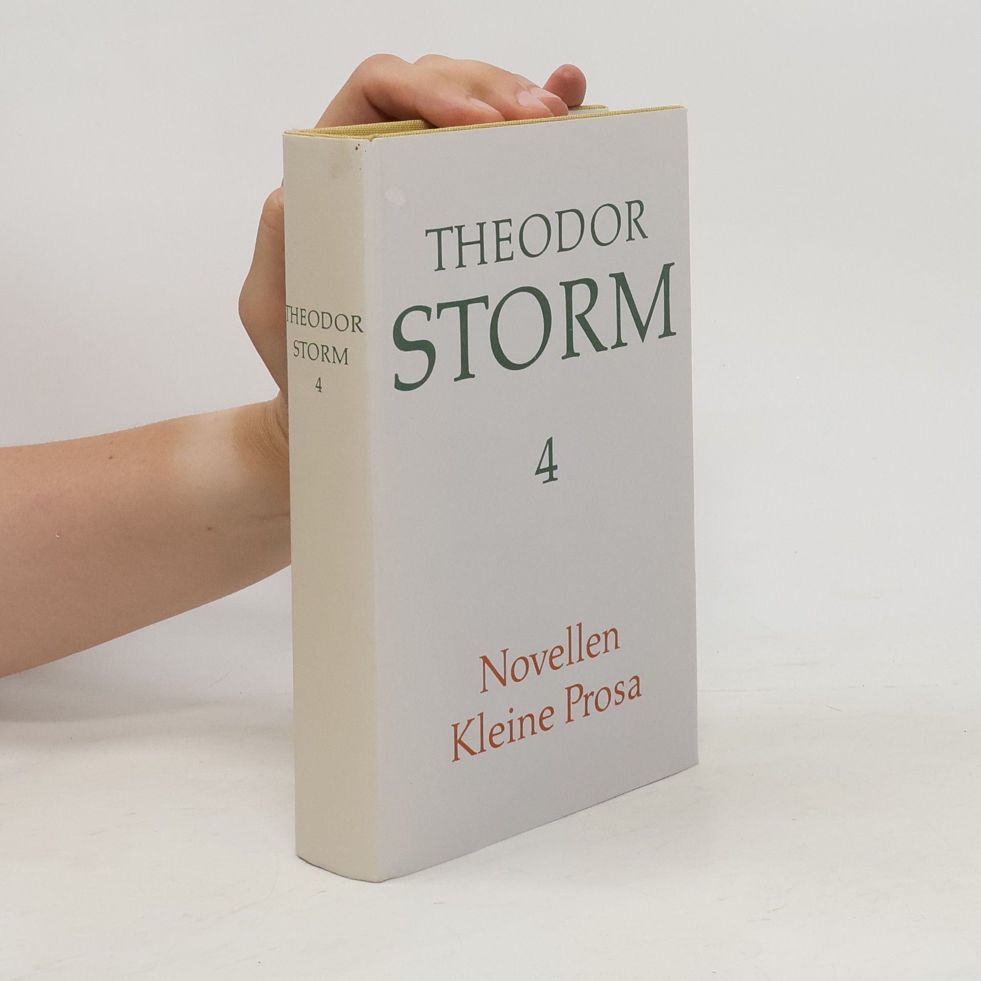 Theodor Storm Theodor Storm 4: Novellen. Kleine Prosa