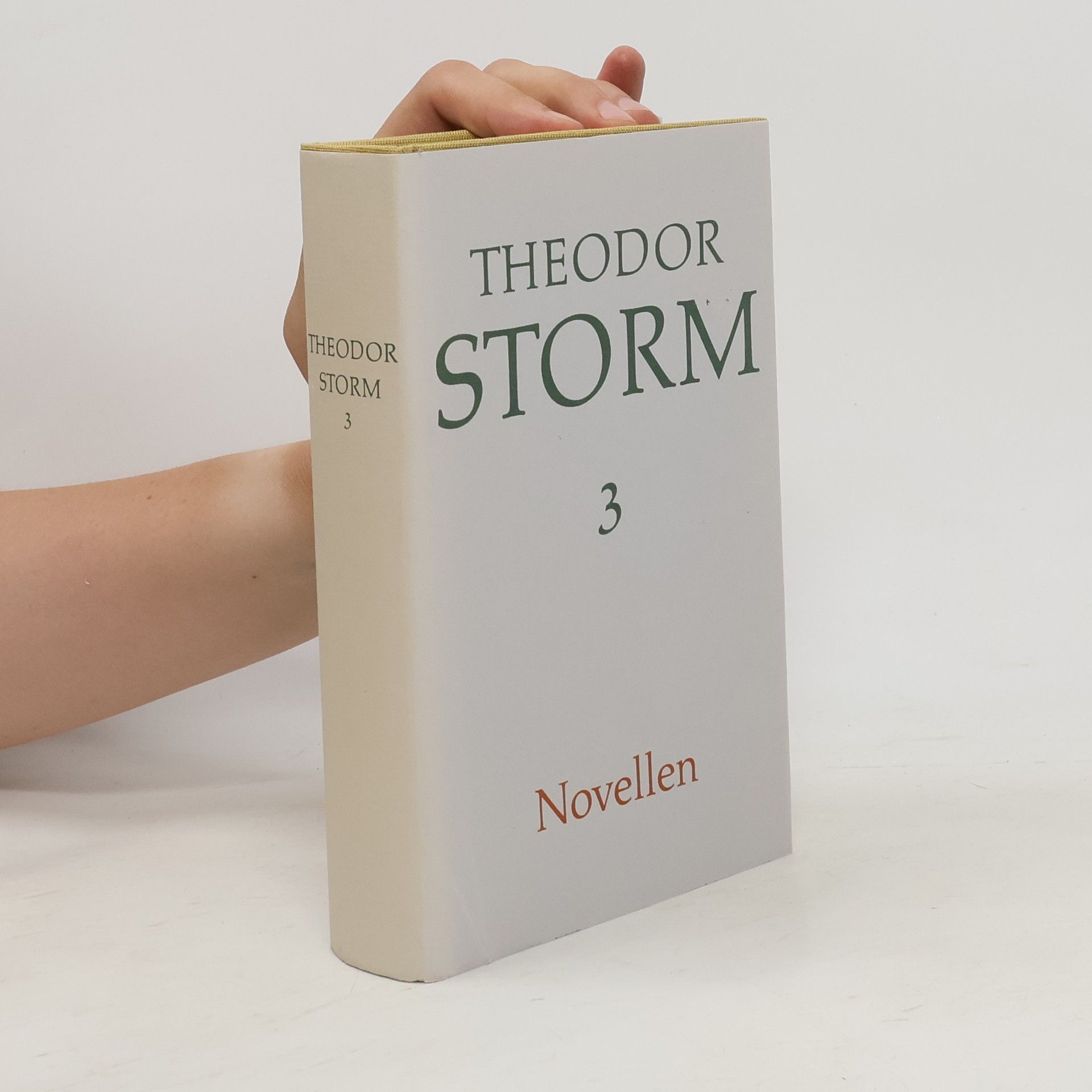 Theodor Storm Novellen 3