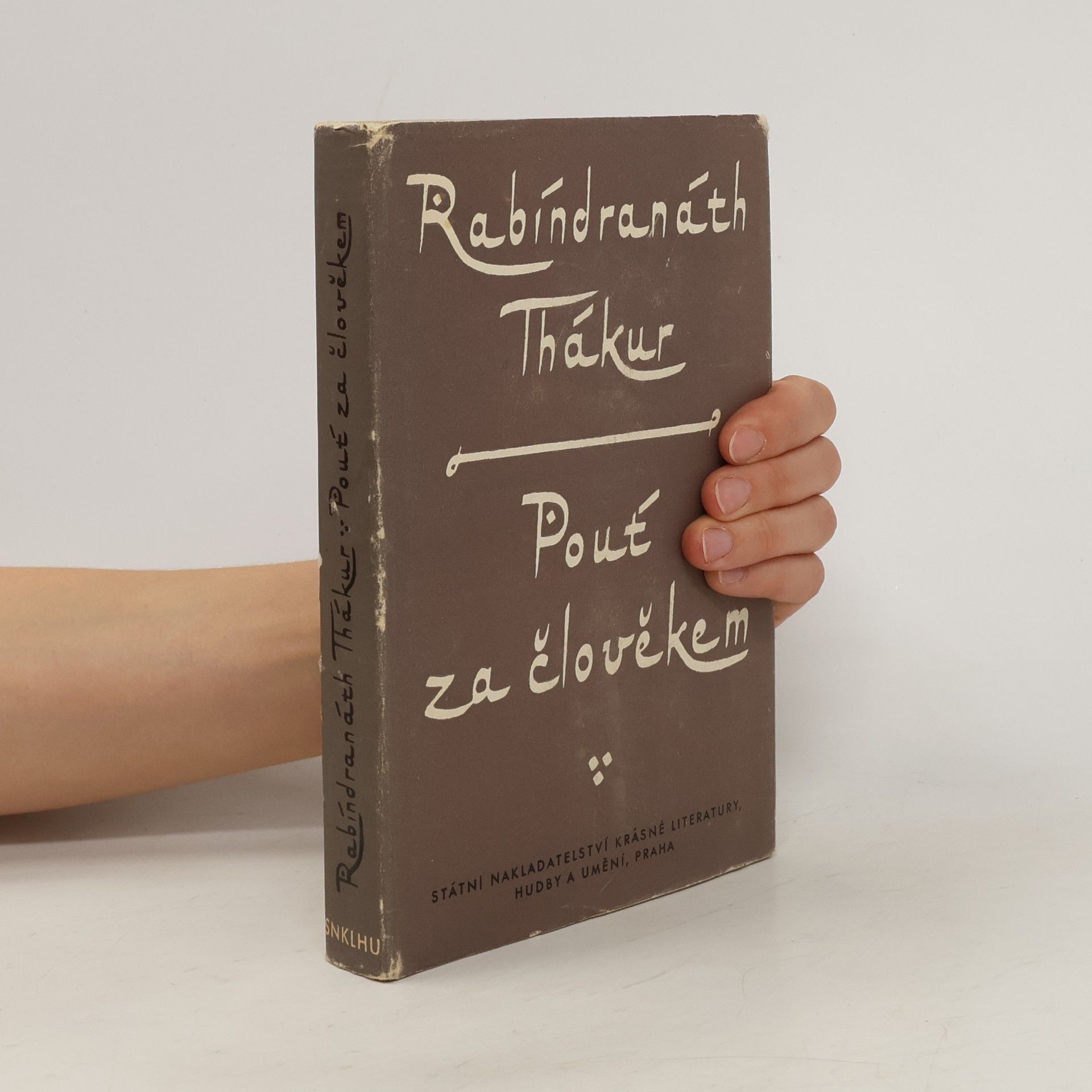 Rabindranath Tagore Pouť za člověkem. Výbor z díla
