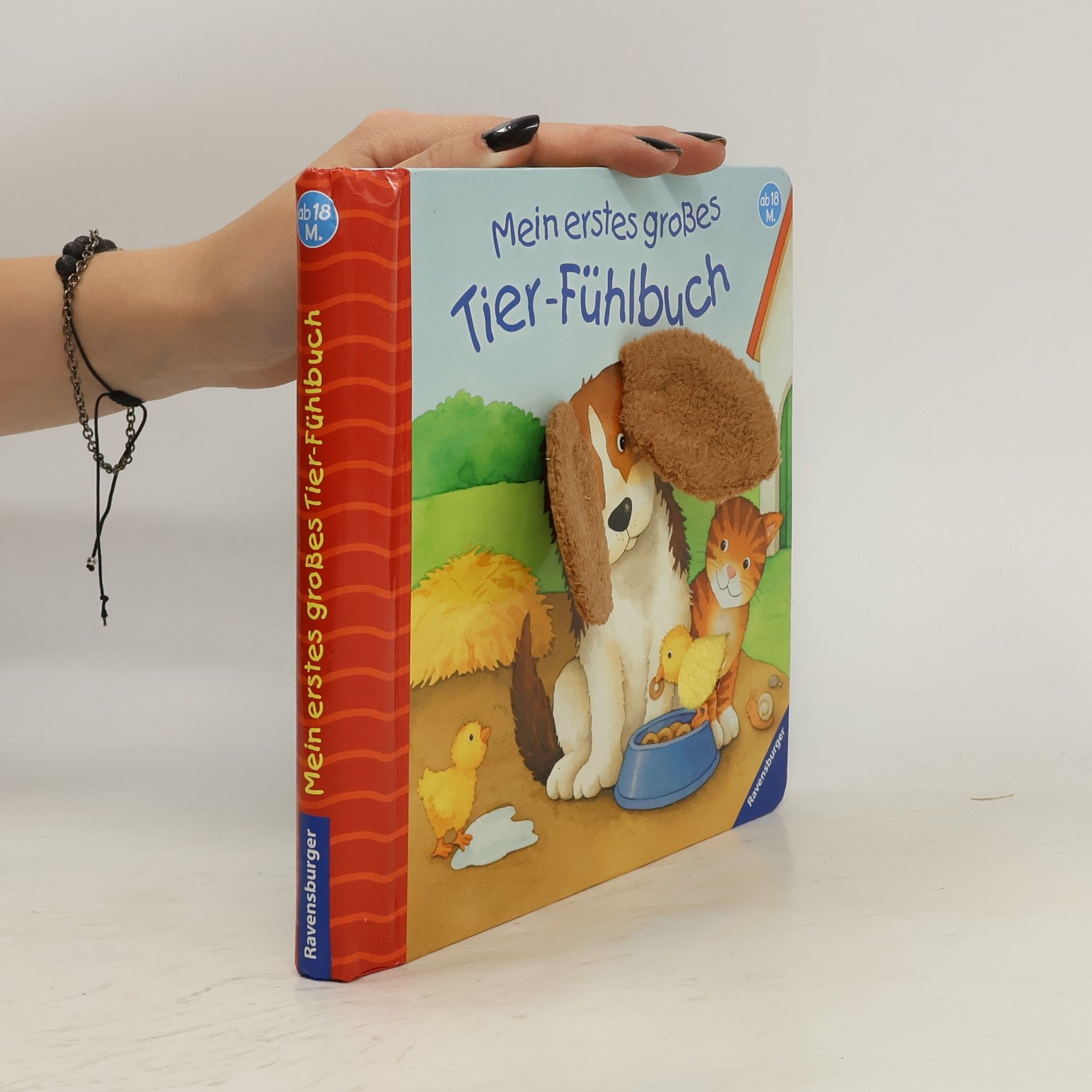 Monika Neubacher Fesser Mein erstes großes Tier-Fühlbuch