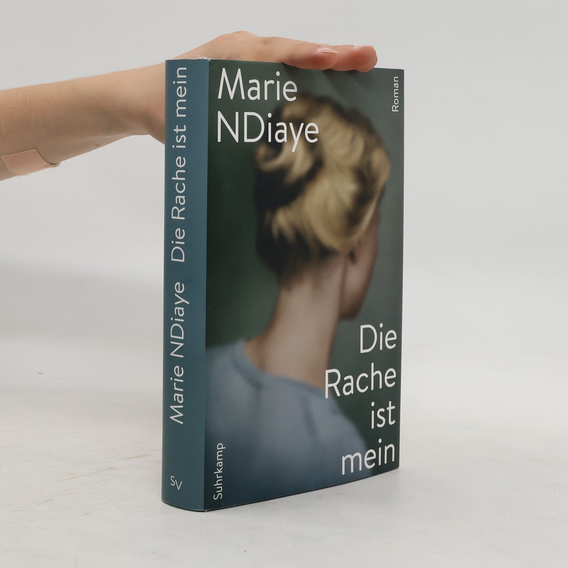 Marie Ndiaye Die Rache ist mein