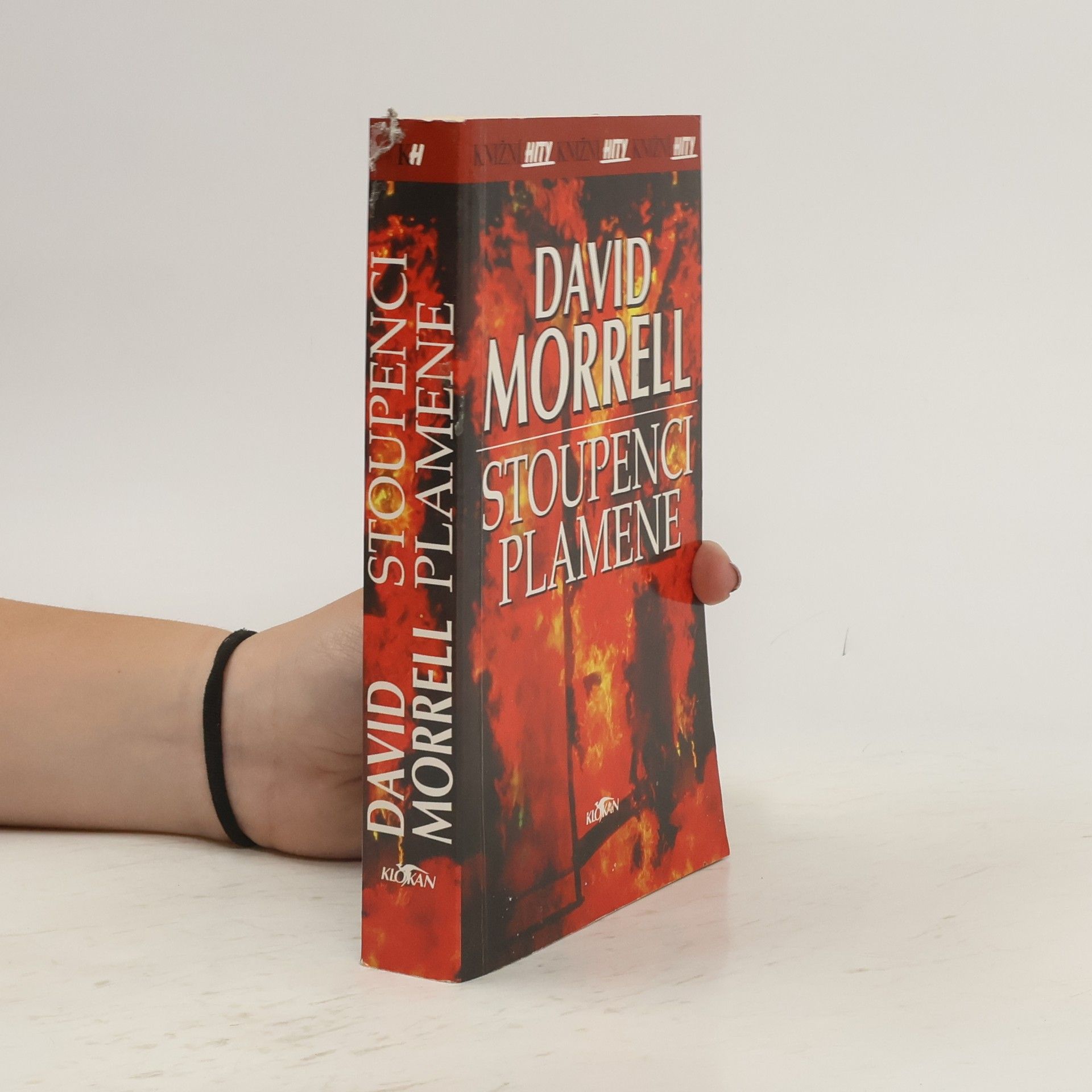 David Morrell Stoupenci plamene