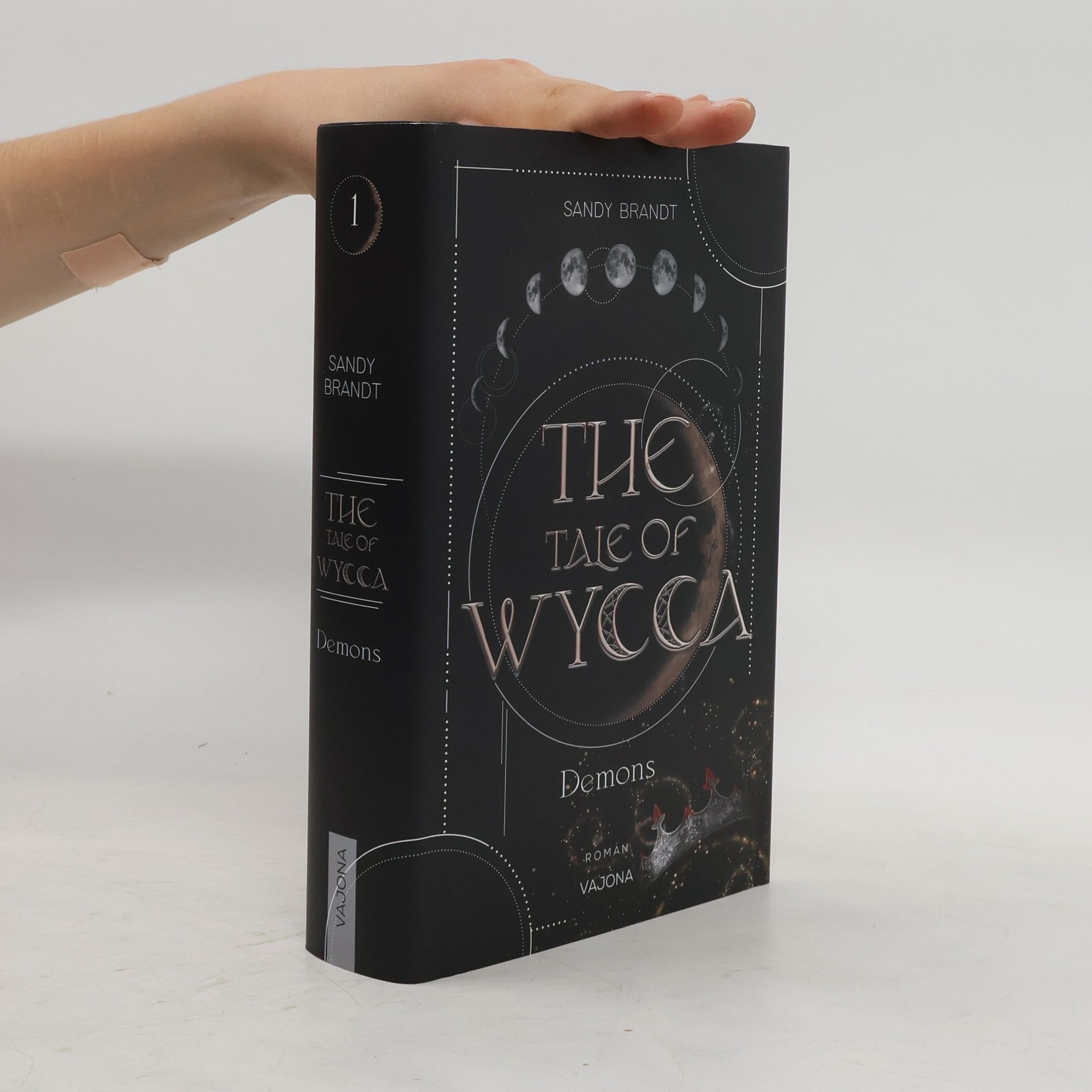 Sandy Brandt THE TALE OF WYCCA: Demons (WYCCA-Reihe 1)
