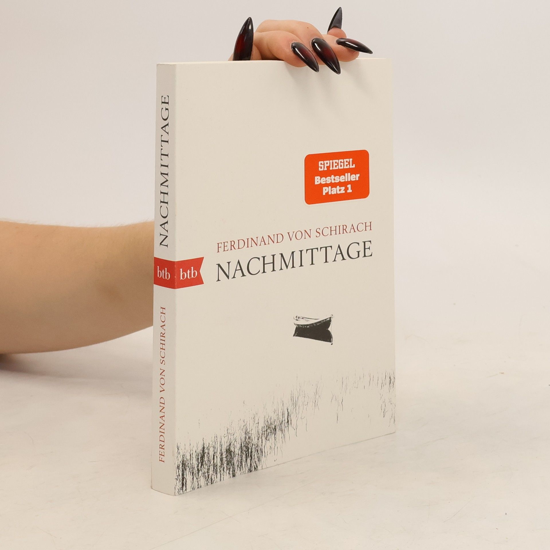 Ferdinand von Schirach Nachmittage