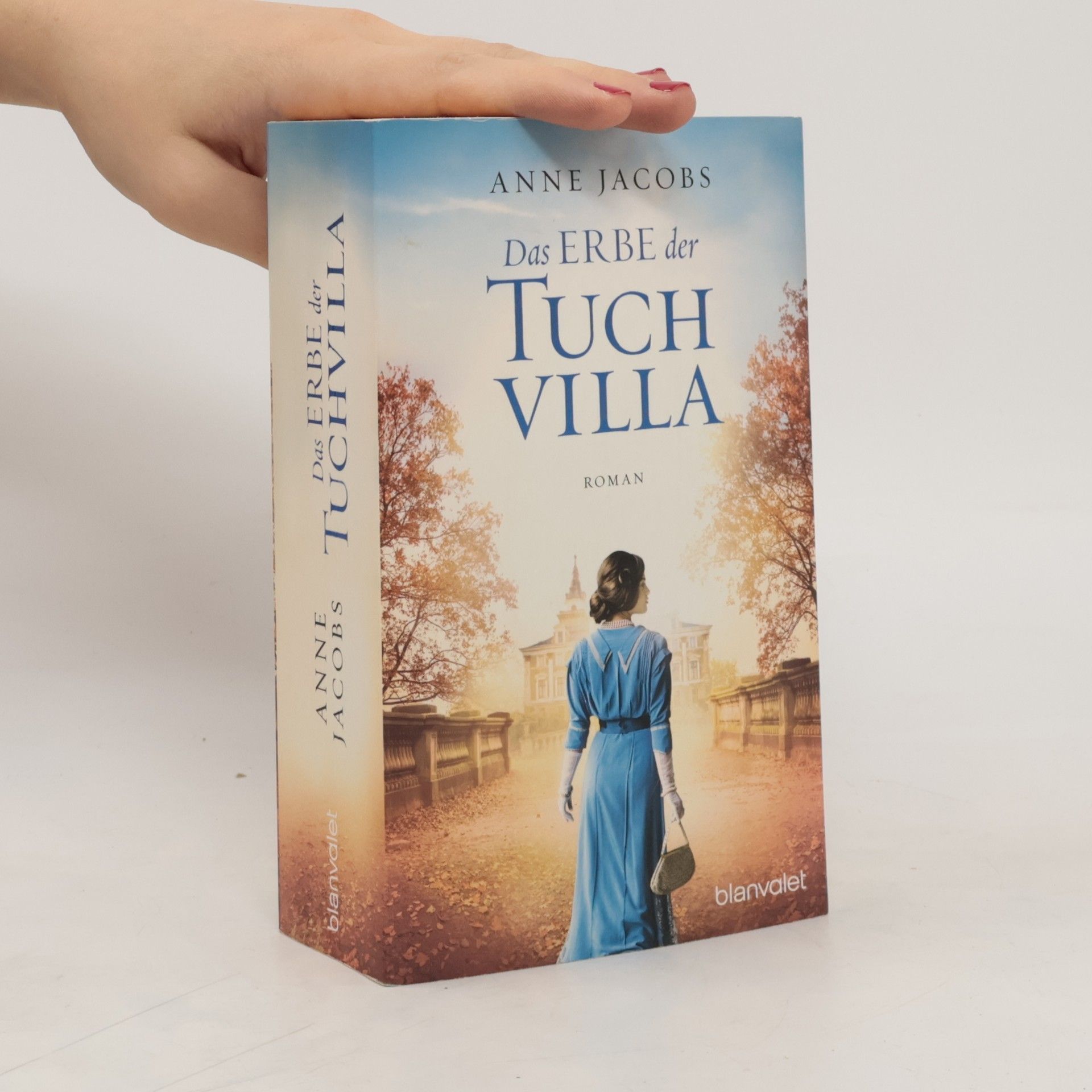 Anne Jacobs Das Erbe der Tuchvilla