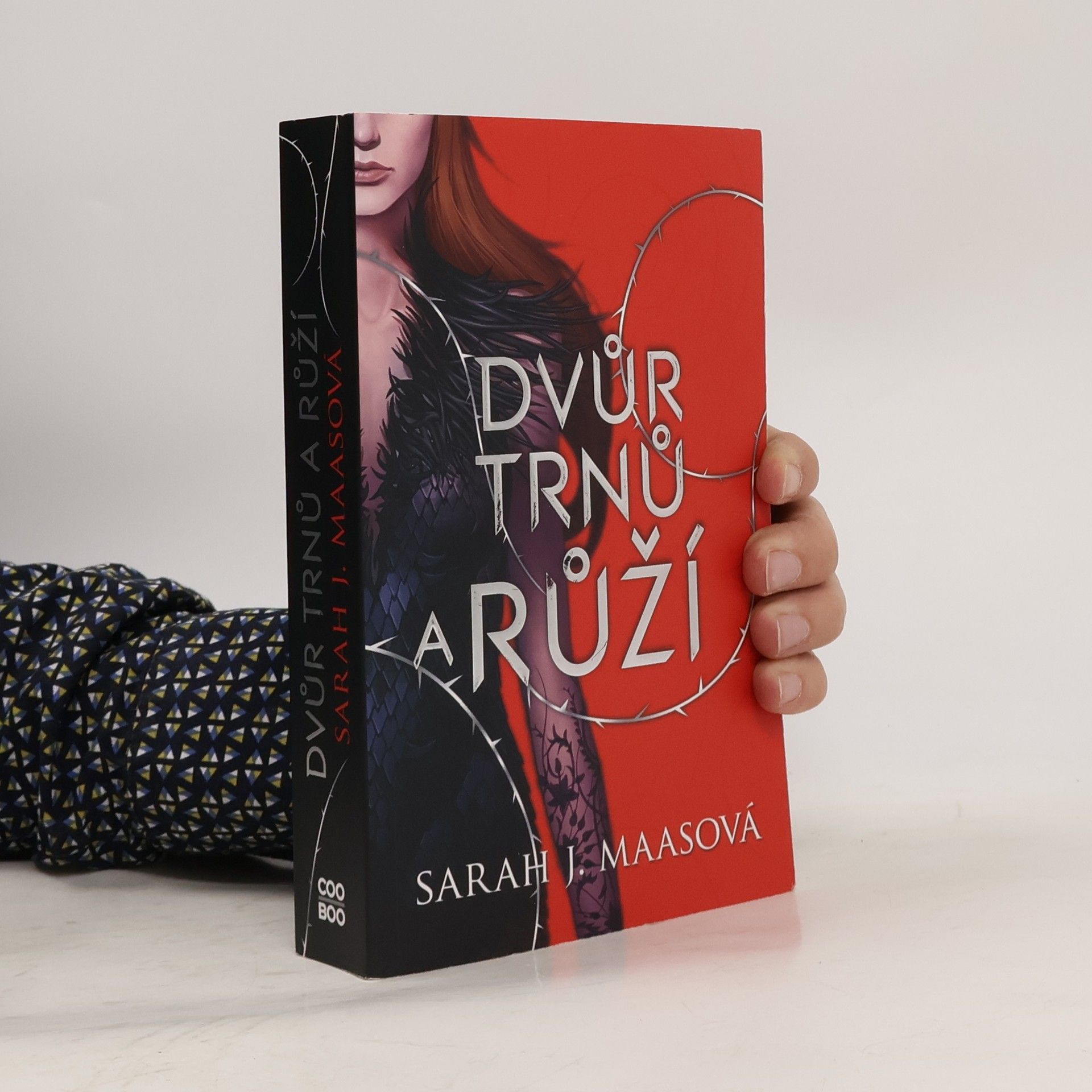 Sarah J. Maas Dvůr trnů a růží