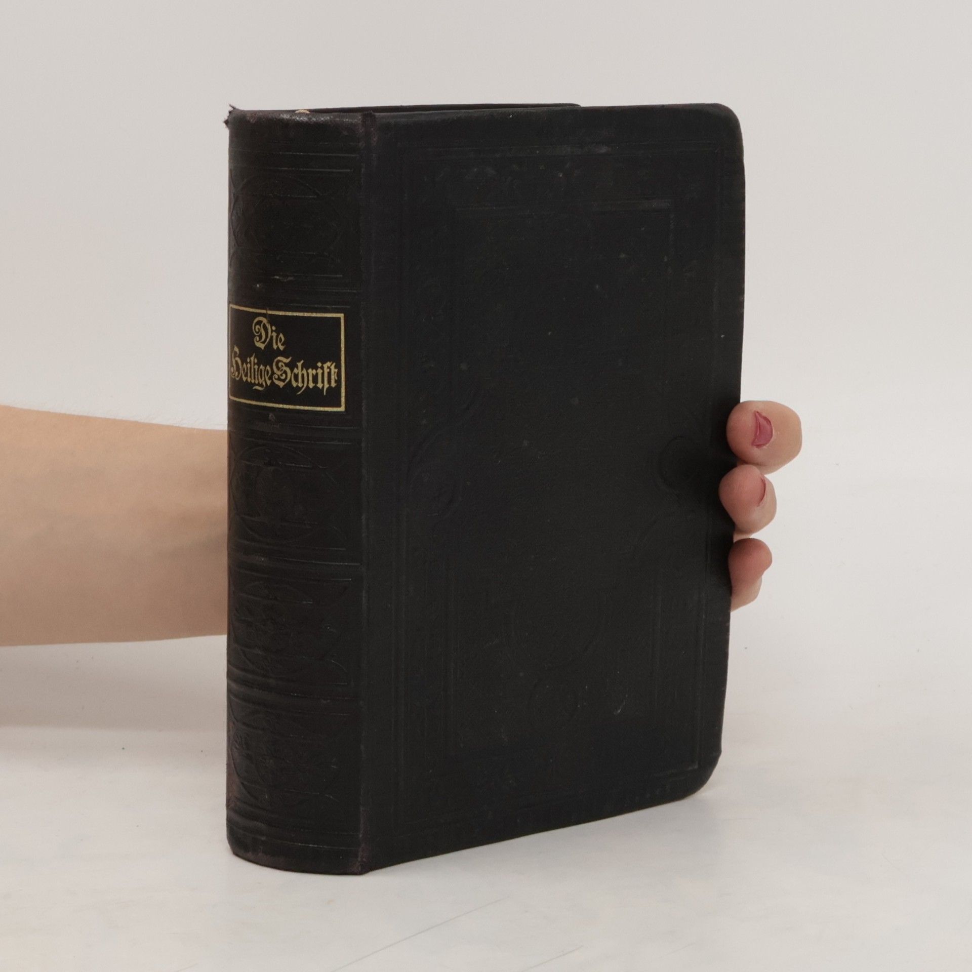 Martin Luther Die Bibel oder die ganze heilige Schrift des Alten und neuen Testament