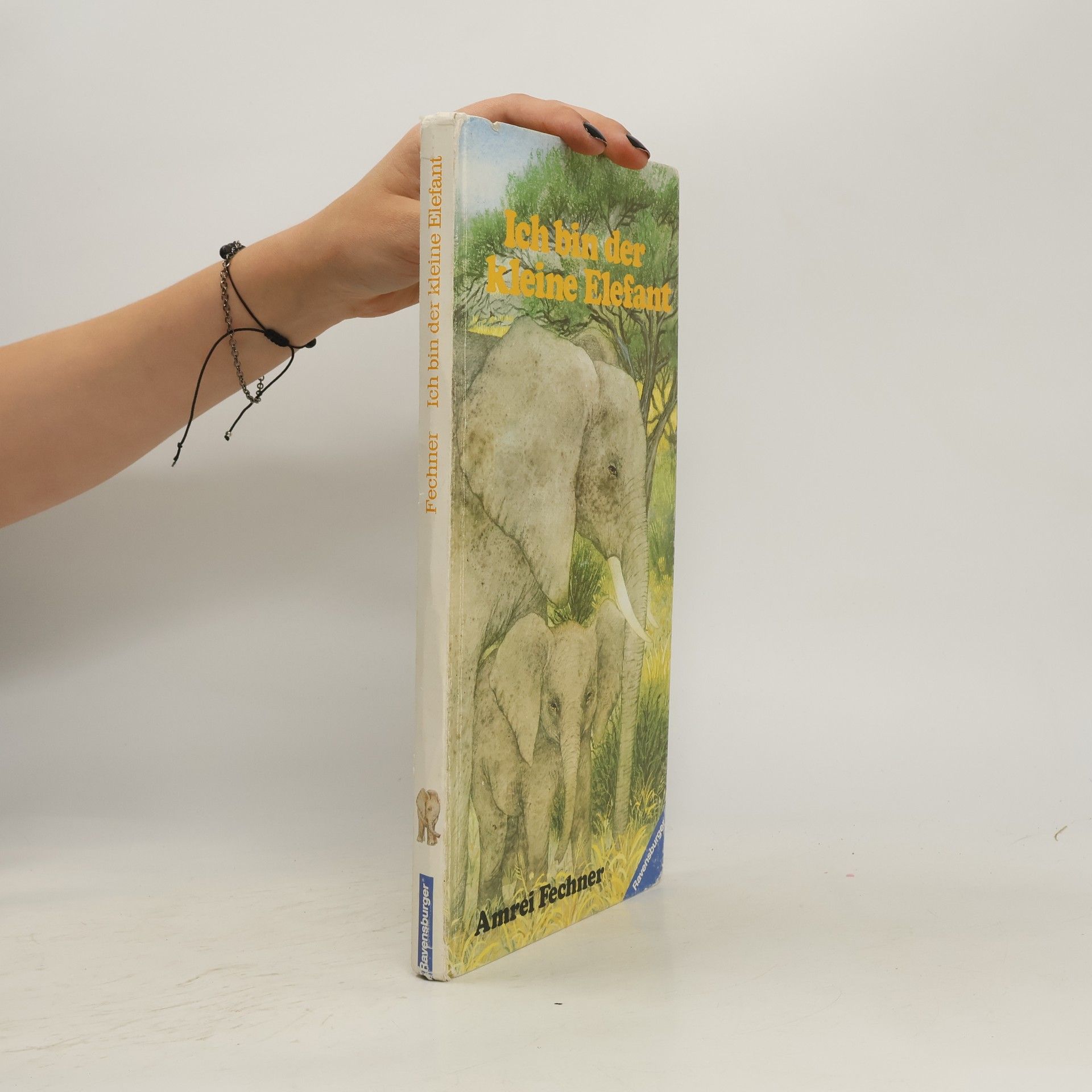 Amrei Fechner Ich bin der kleine Elefant