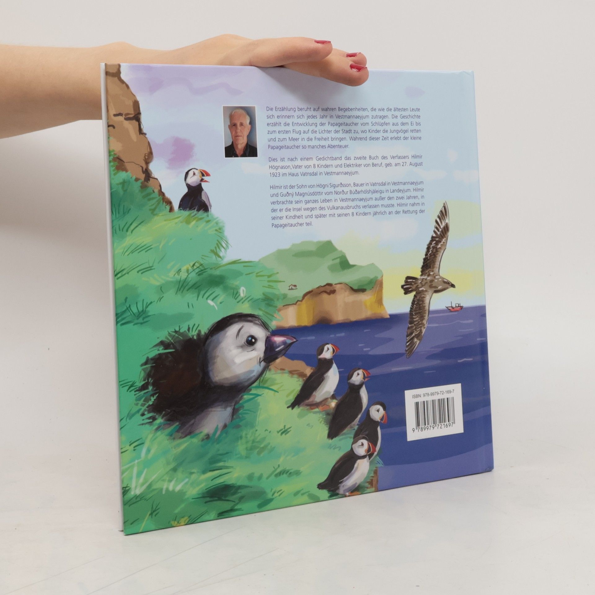 Hilmir Högnason Der kleine Papageitaucher