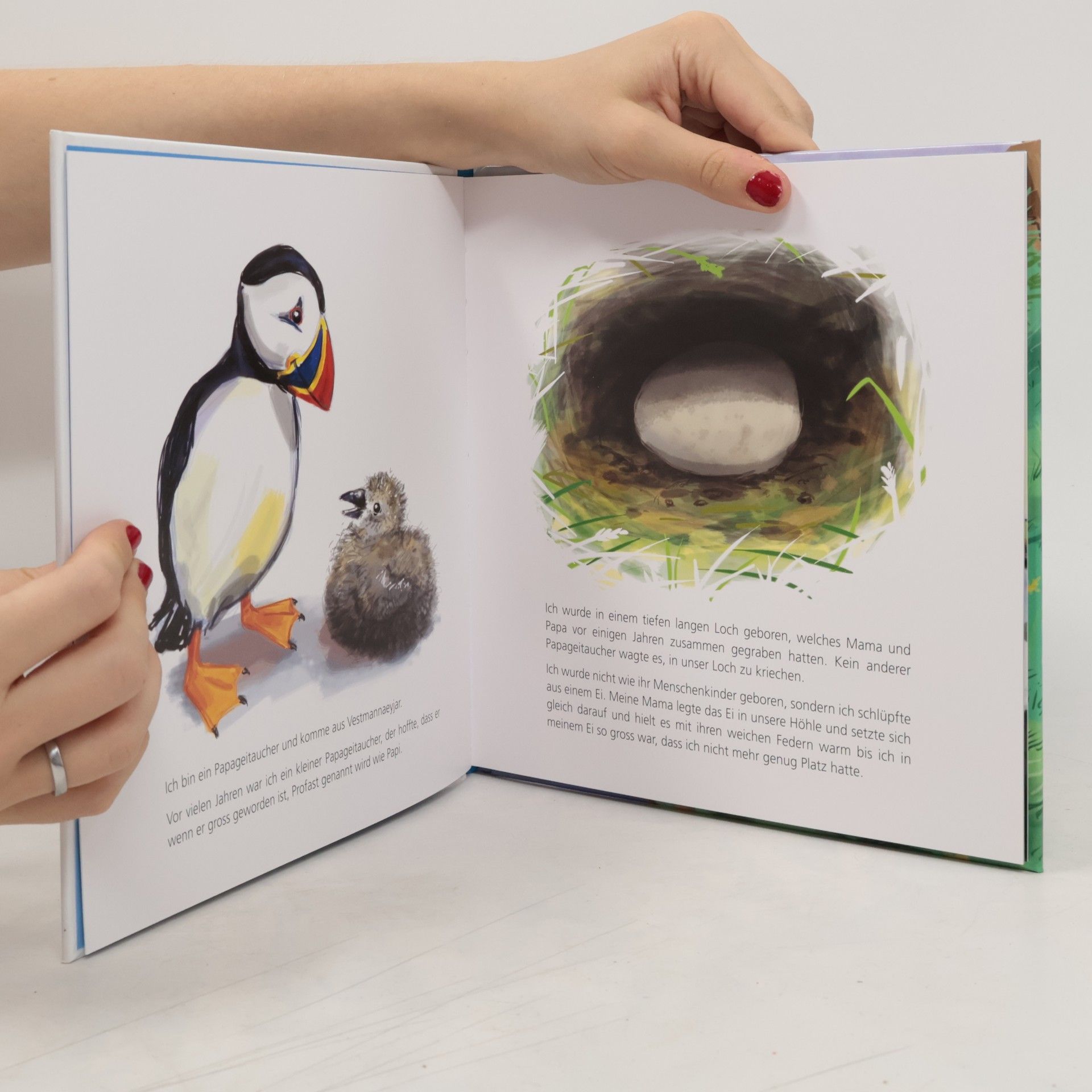 Hilmir Högnason Der kleine Papageitaucher