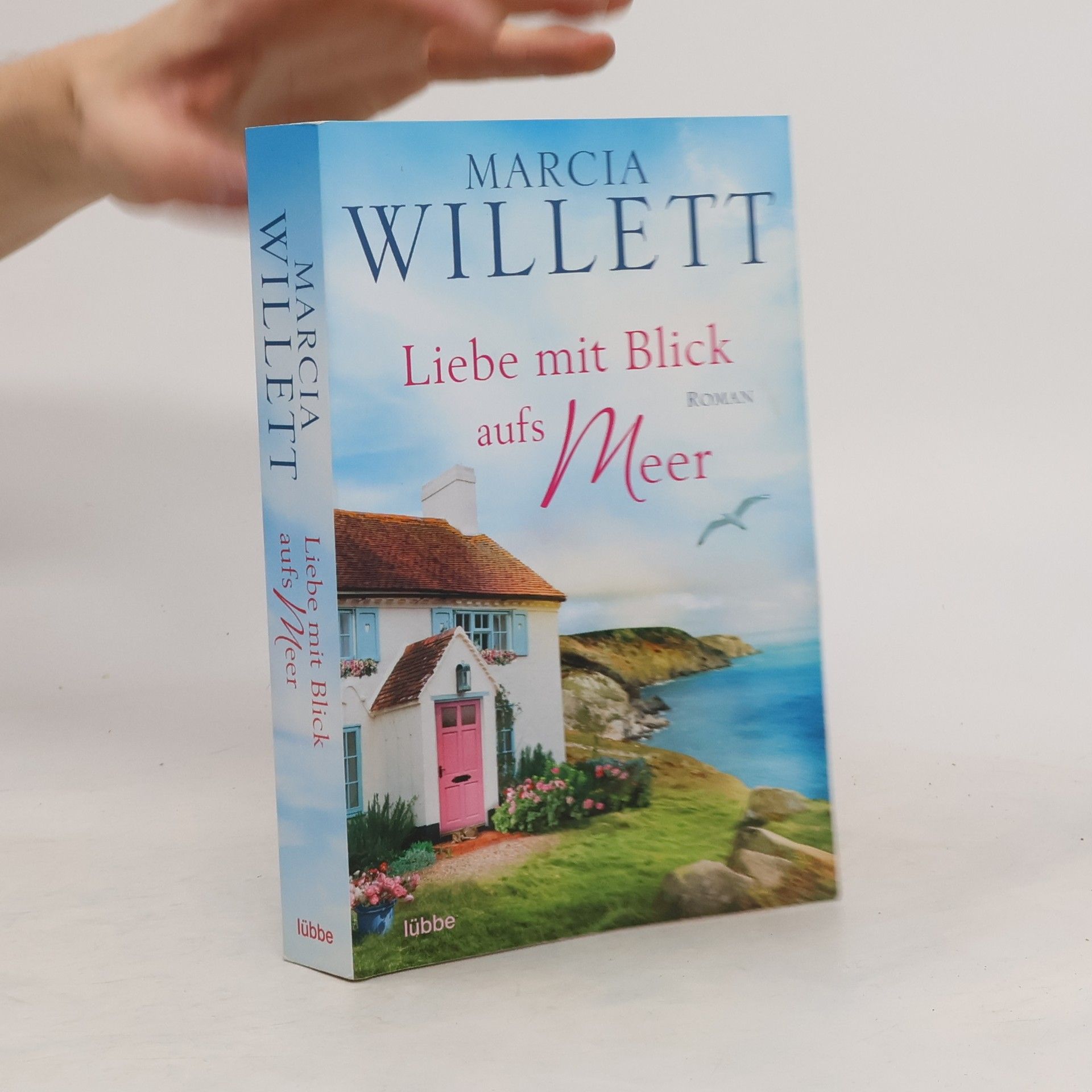 Marcia Willett Liebe mit Blick aufs Meer