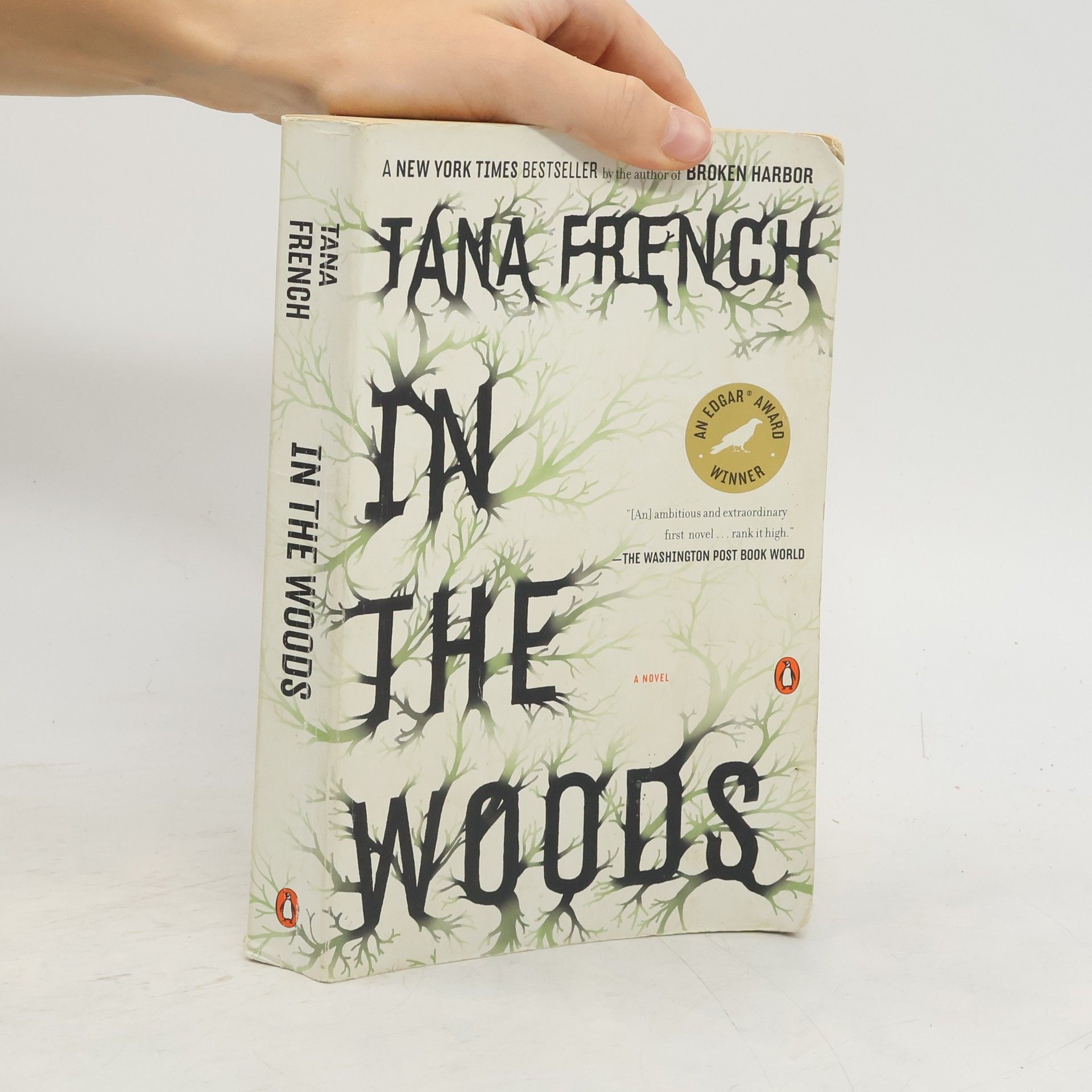 Tana French In the woods