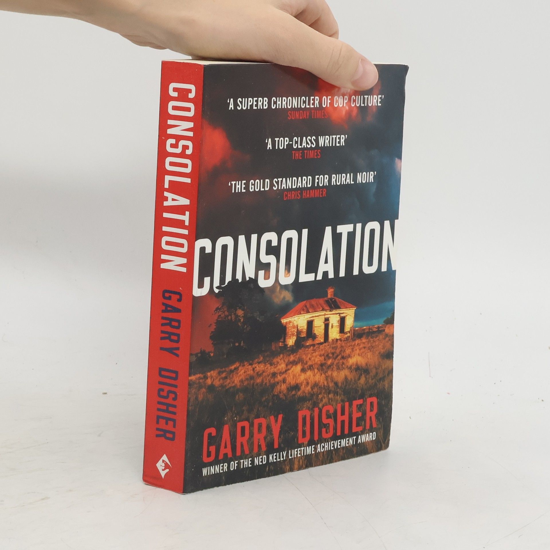 Garry Disher Consolation