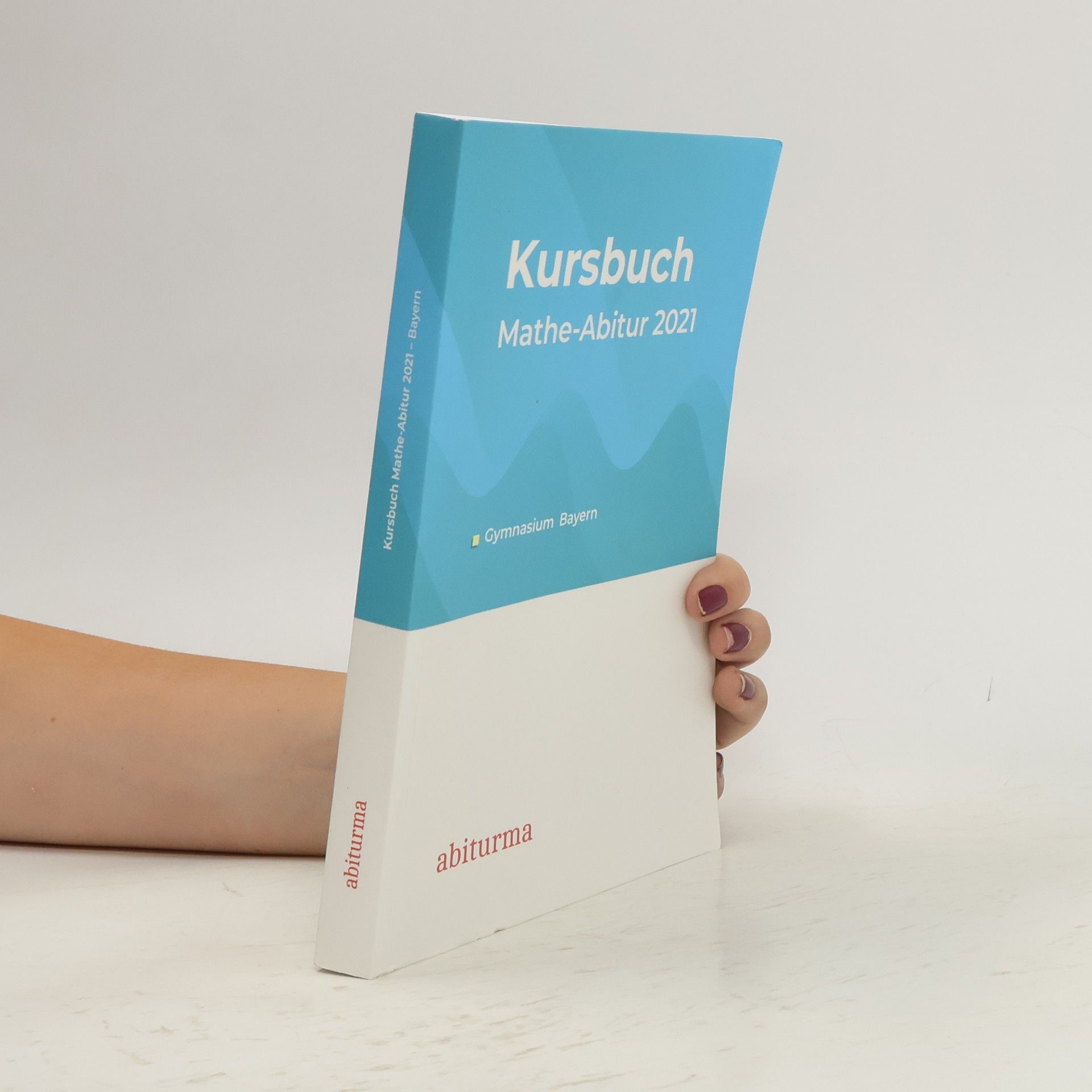 Auteurscollectief Kursbuch Mathe-Abitur 2021