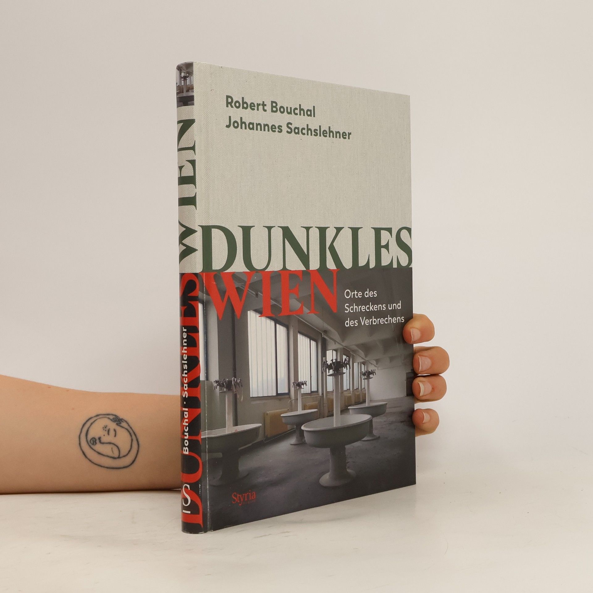 Robert Bouchal Dunkles Wien