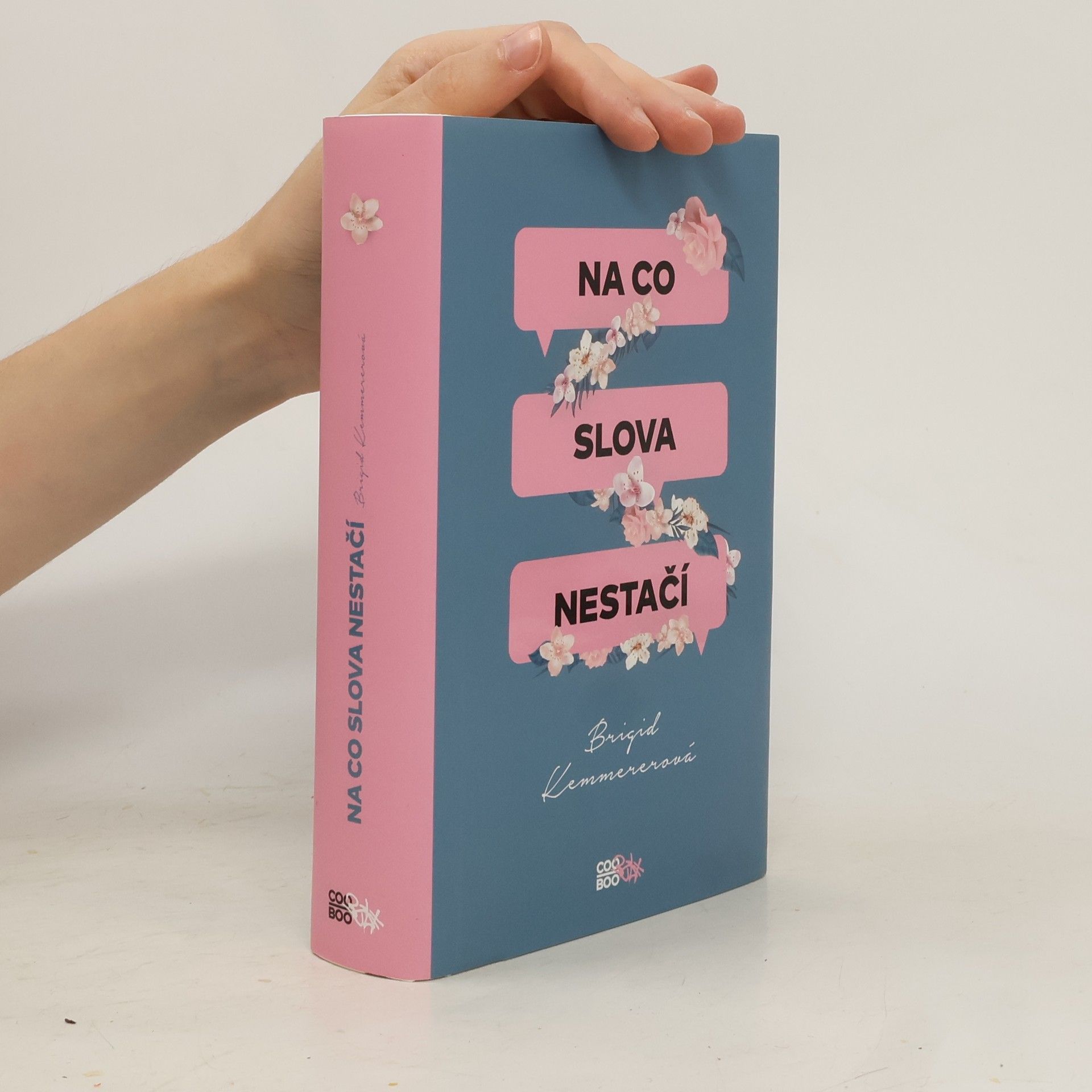 Brigid Kemmerer Na co slova nestačí
