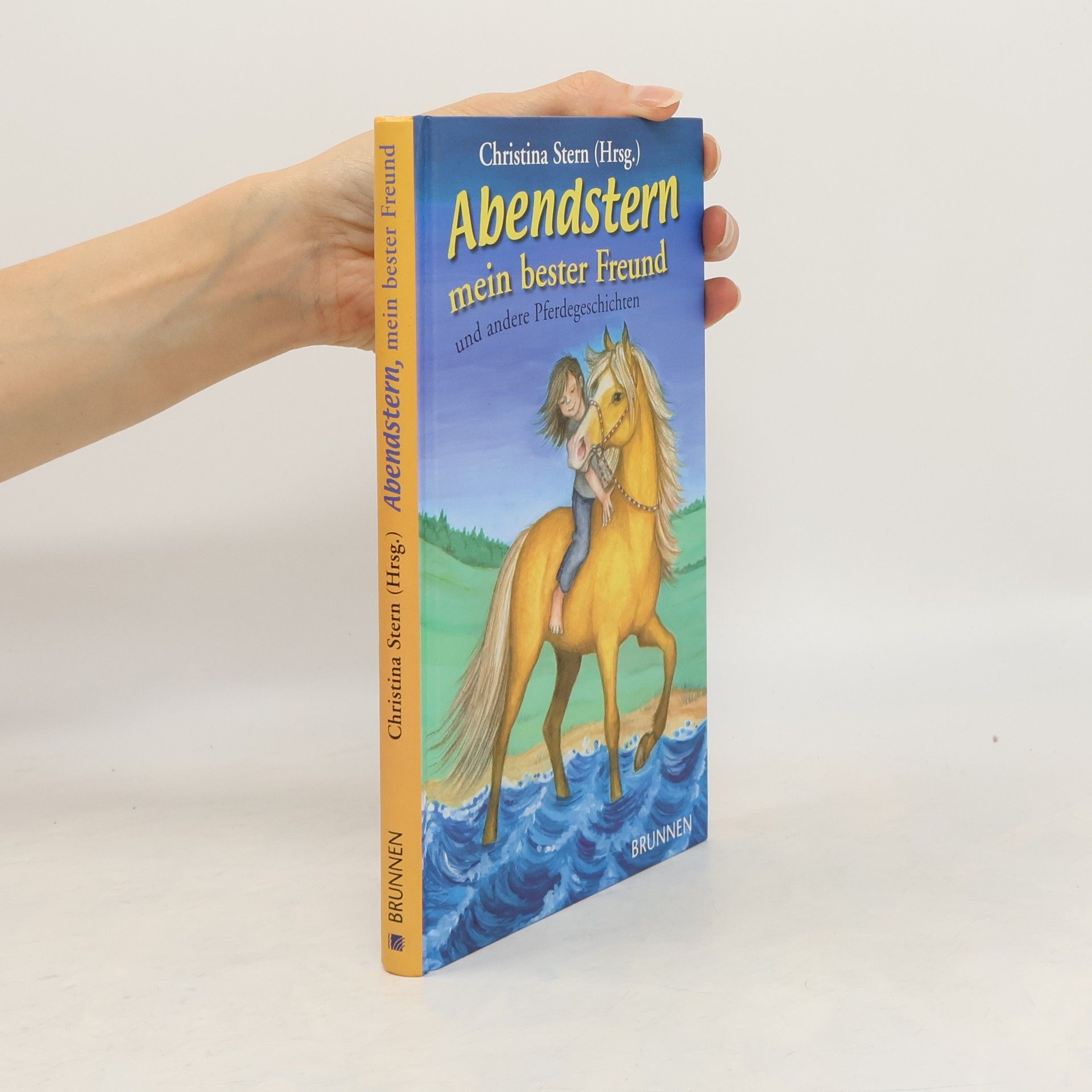 Christina Stern Abendstern, mein bester Freund, und andere Pferdegeschichten