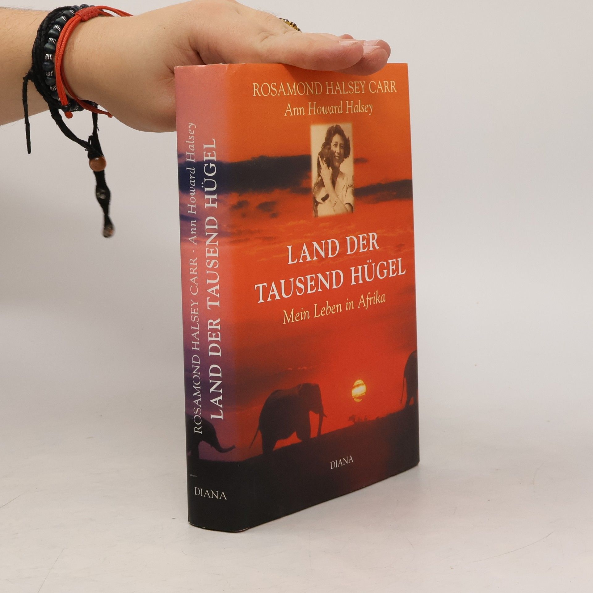 Rosamon Halsey Carr Land der tausend Hügel