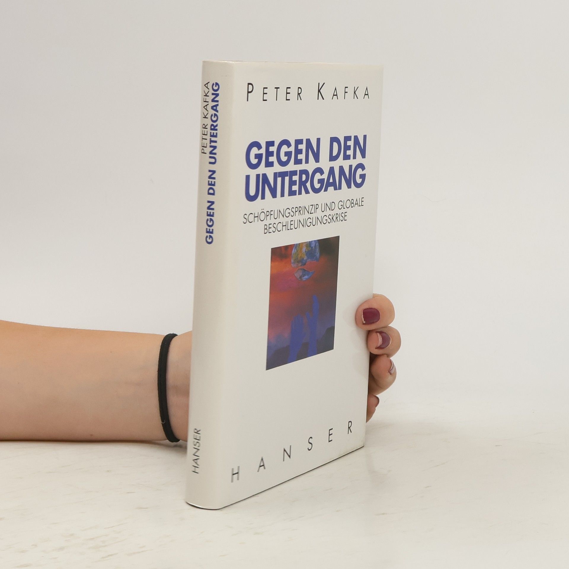 Peter Kafka Gegen den Untergang