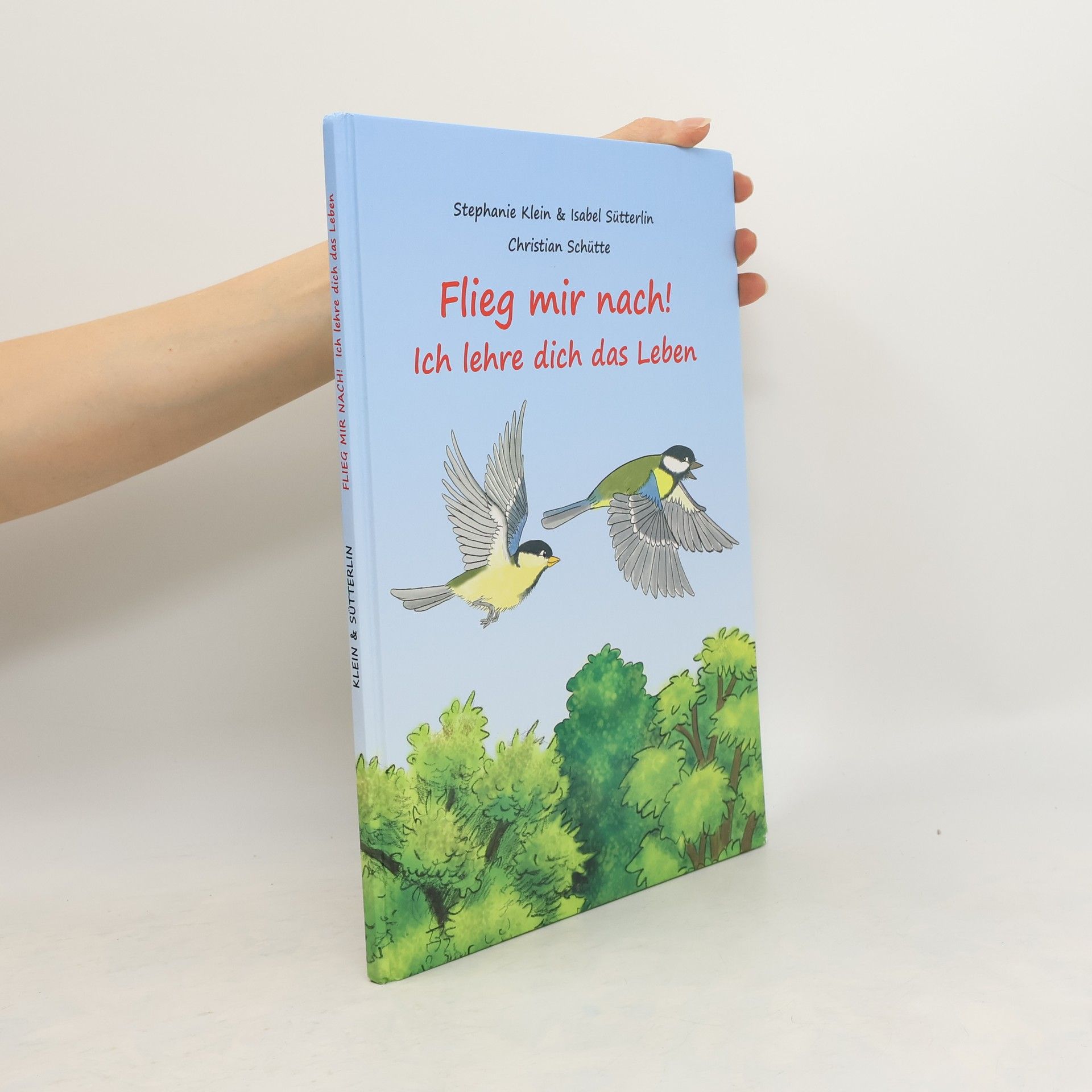 Stephanie B. Klein Flieg mir nach!