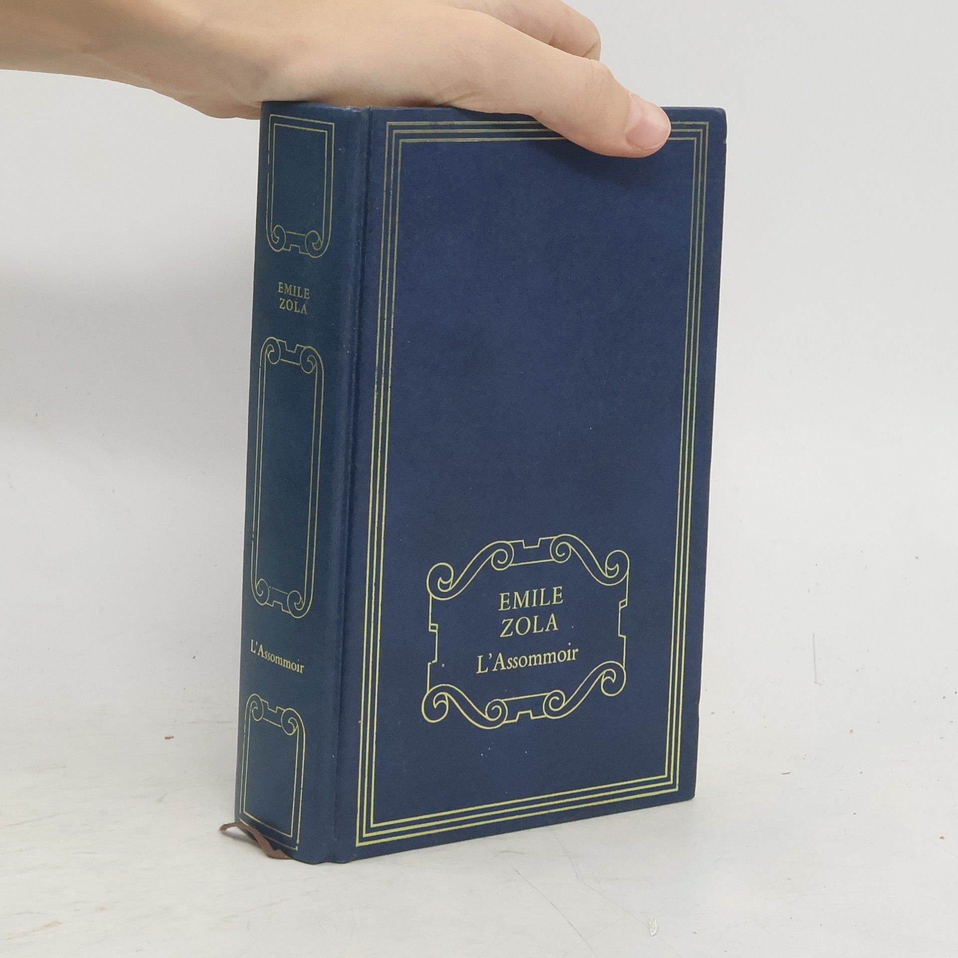 Émile Zola L'Assommoir