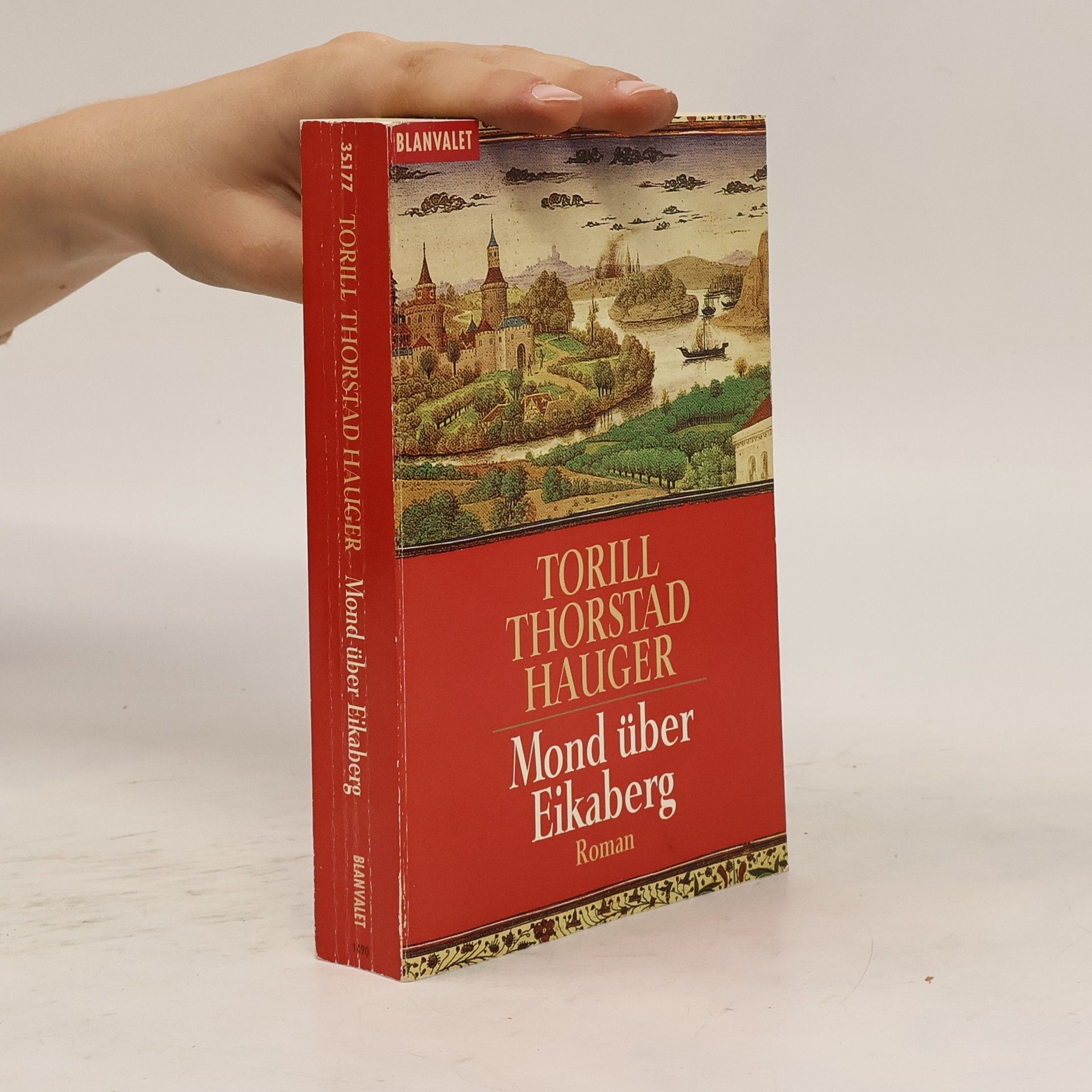 Torill Thorstad Hauger Mond über Eikaberg