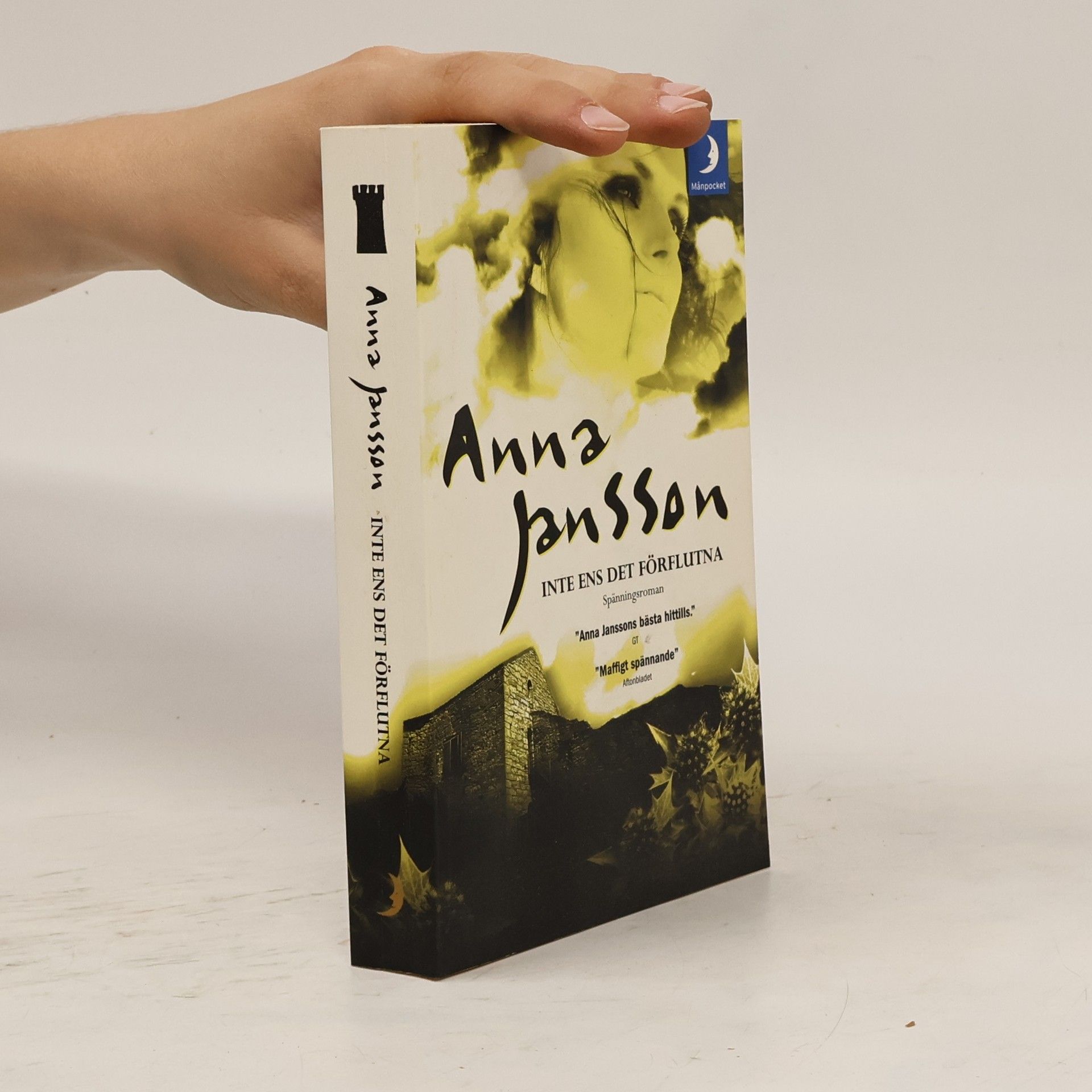 Anna Jansson Inte ens det förflutna