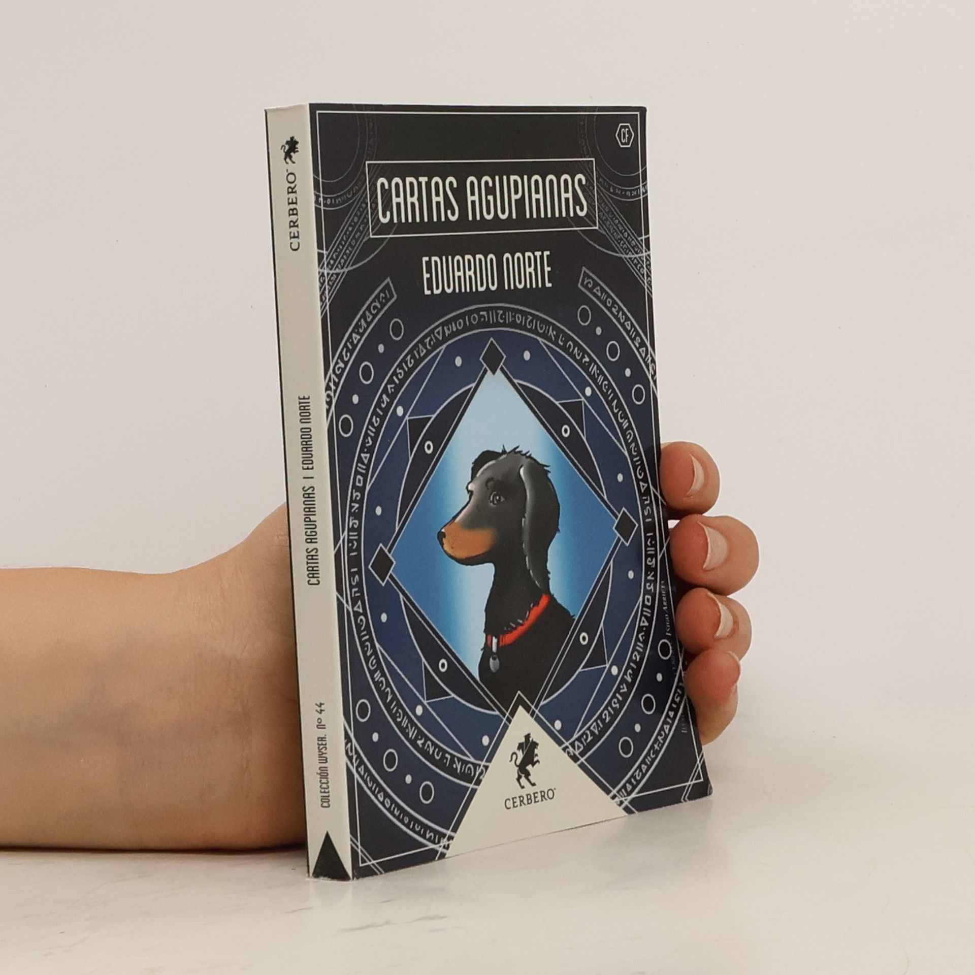 Eduardo Norte Cartas Agupianas