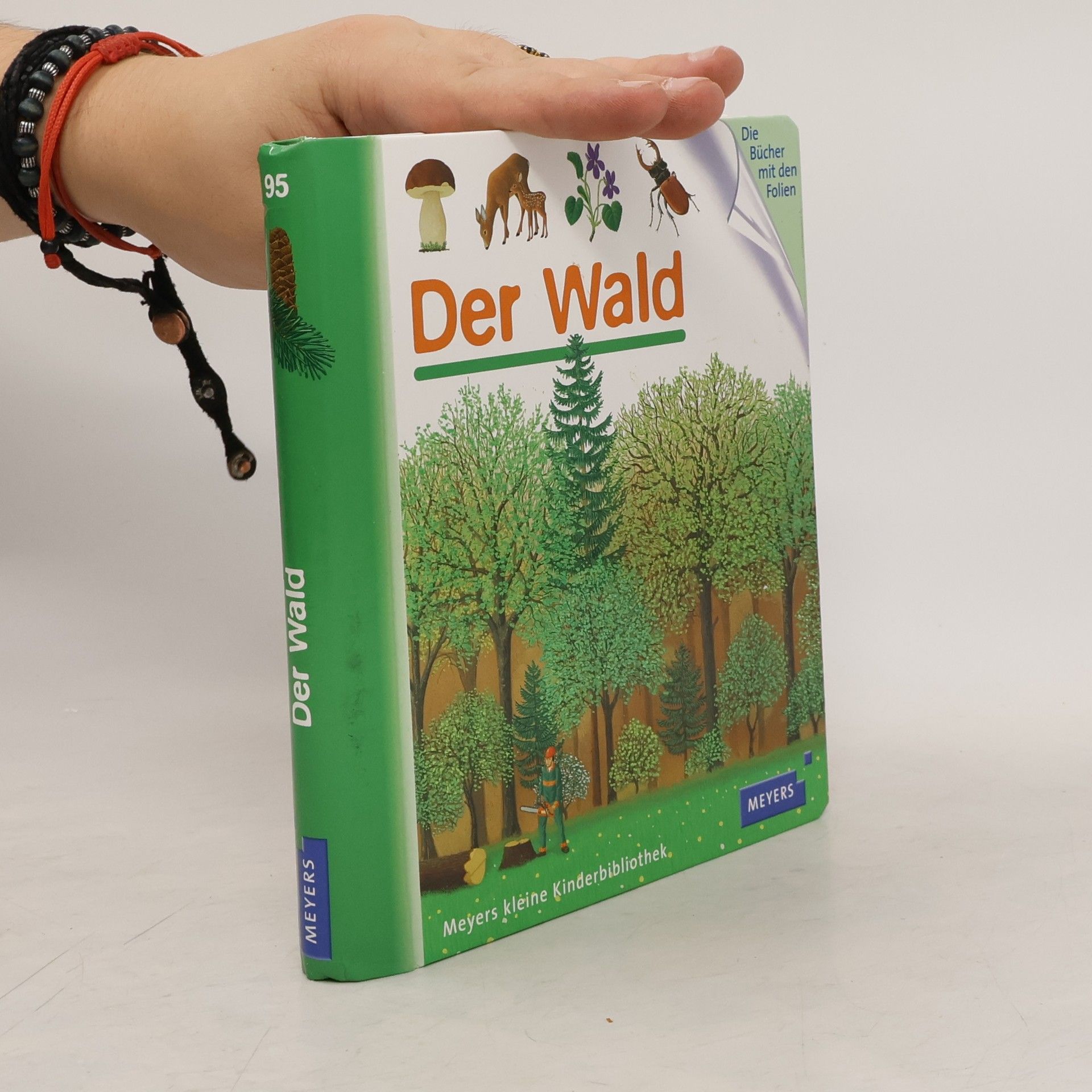 Rene Mettler Der Wald. Meyers kleine Kinderbibliothek