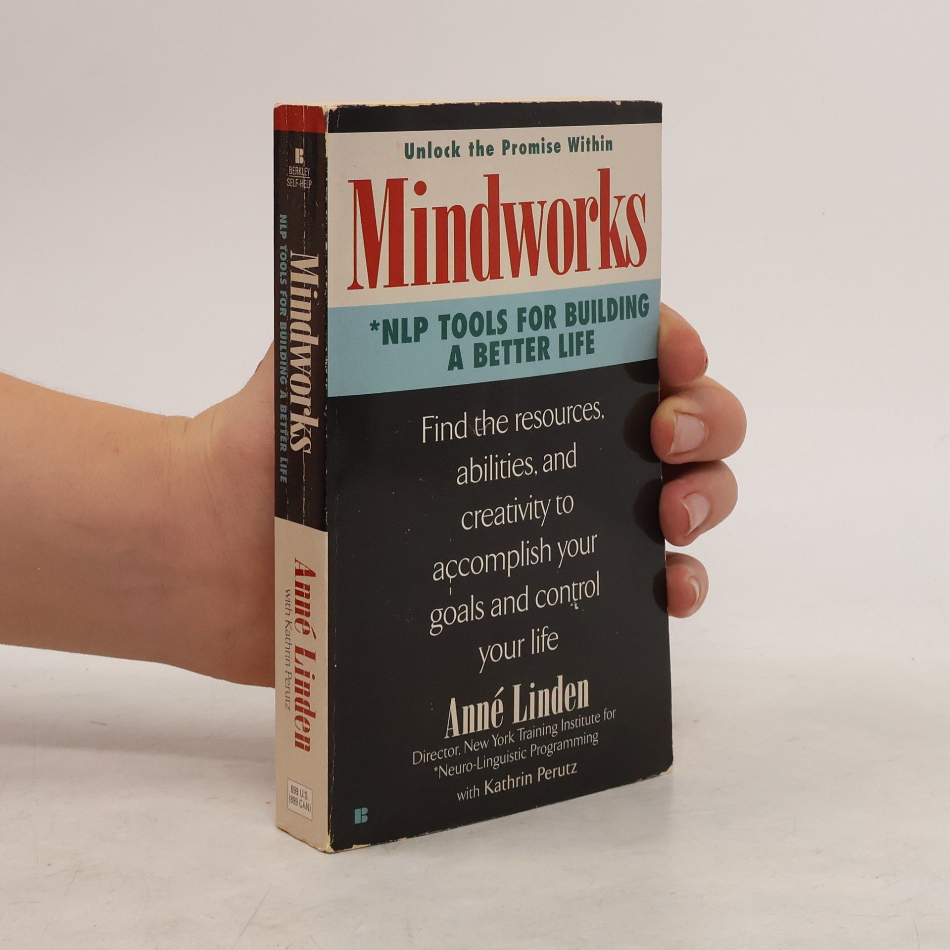 Anne Linden Mindworks
