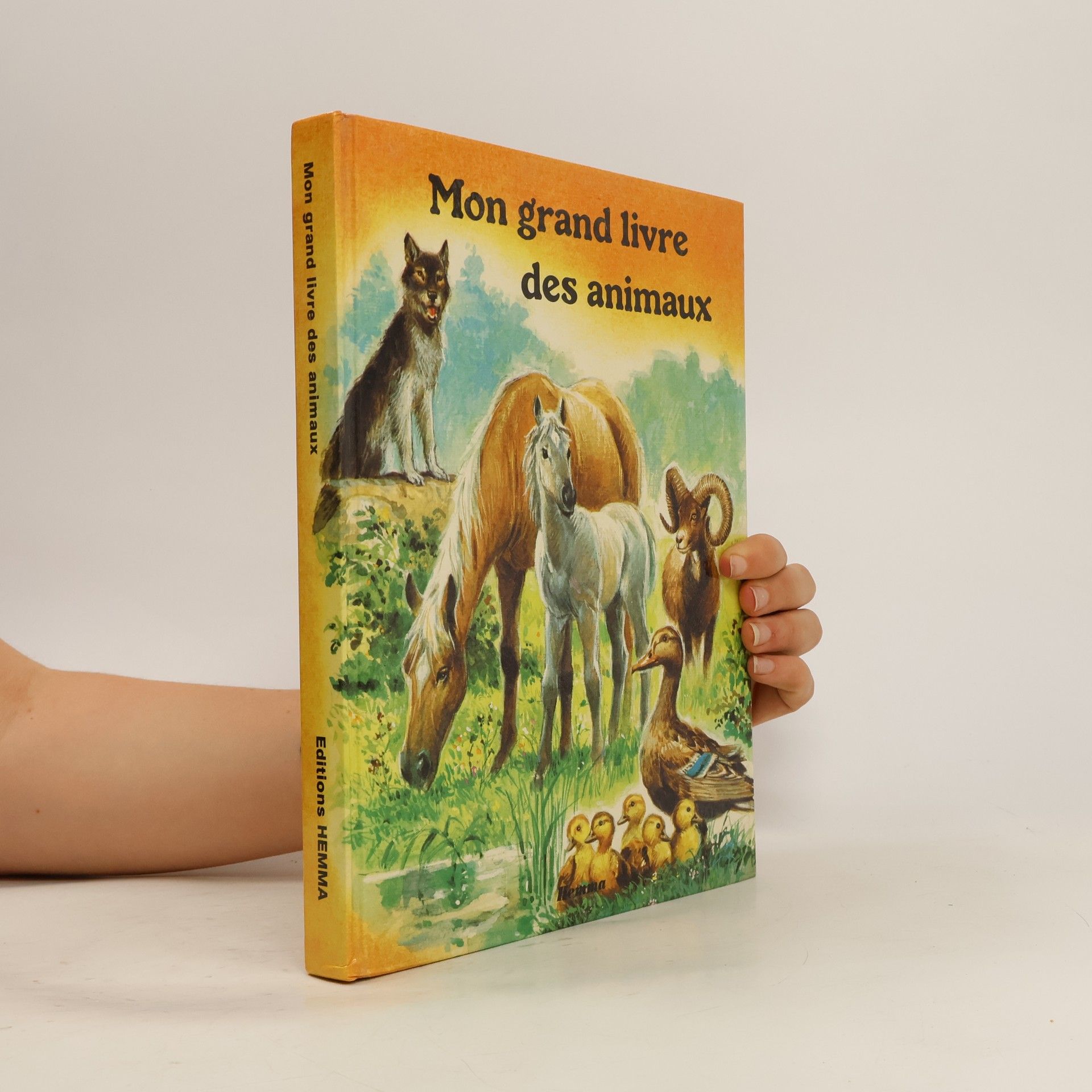 Kolektiv autorů Mon grand livre des animaux
