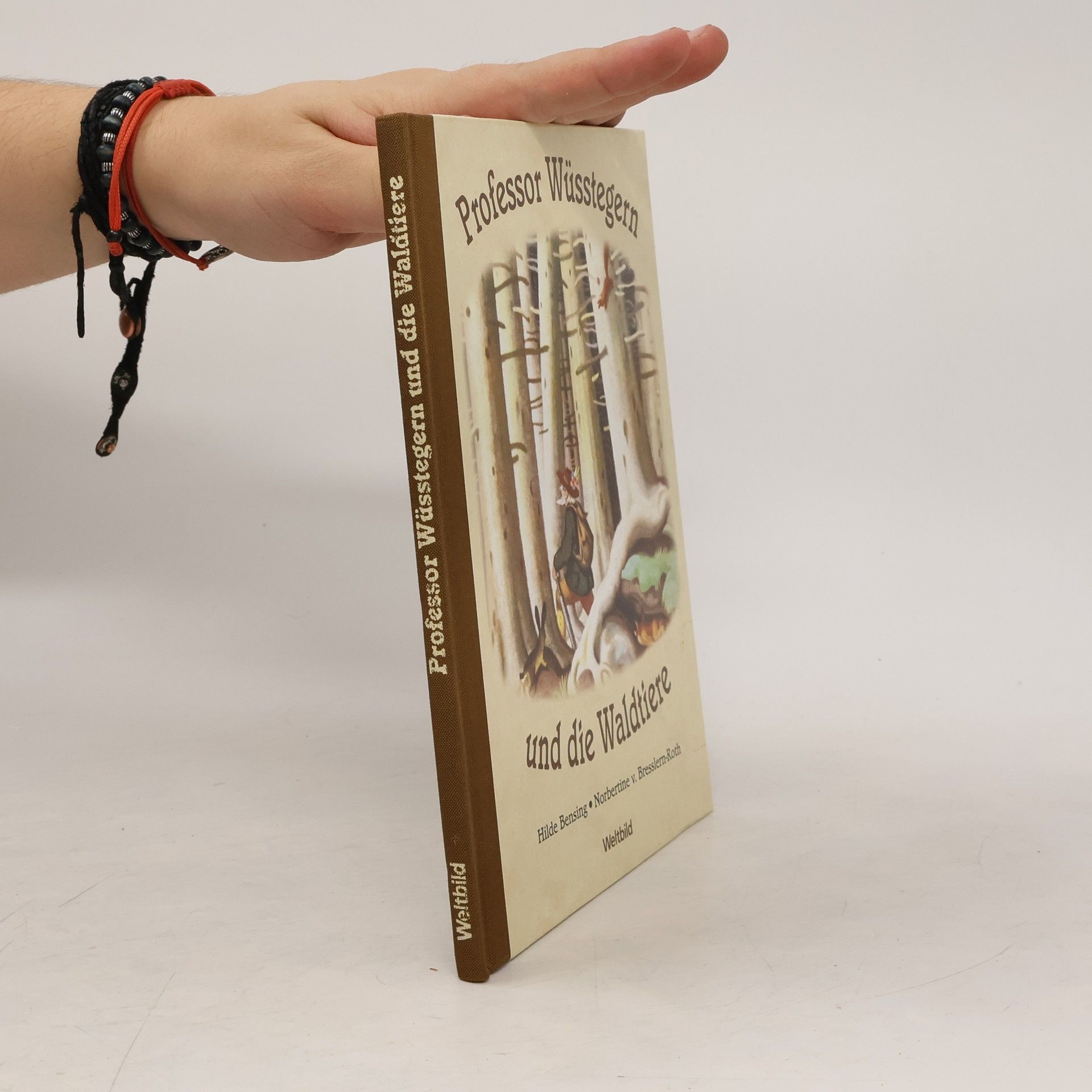 Professor Wüsstegern und die Waldtiere