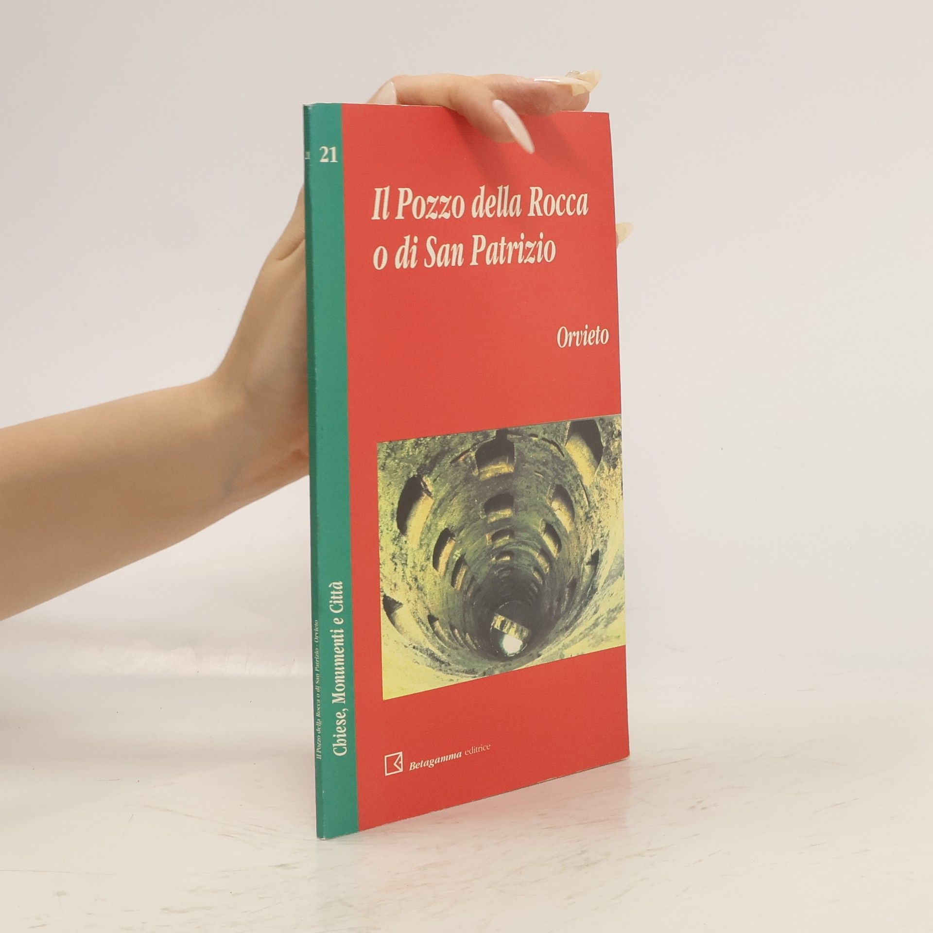 AA.VV. Il Pozzo della Rocca o di San Patrizio