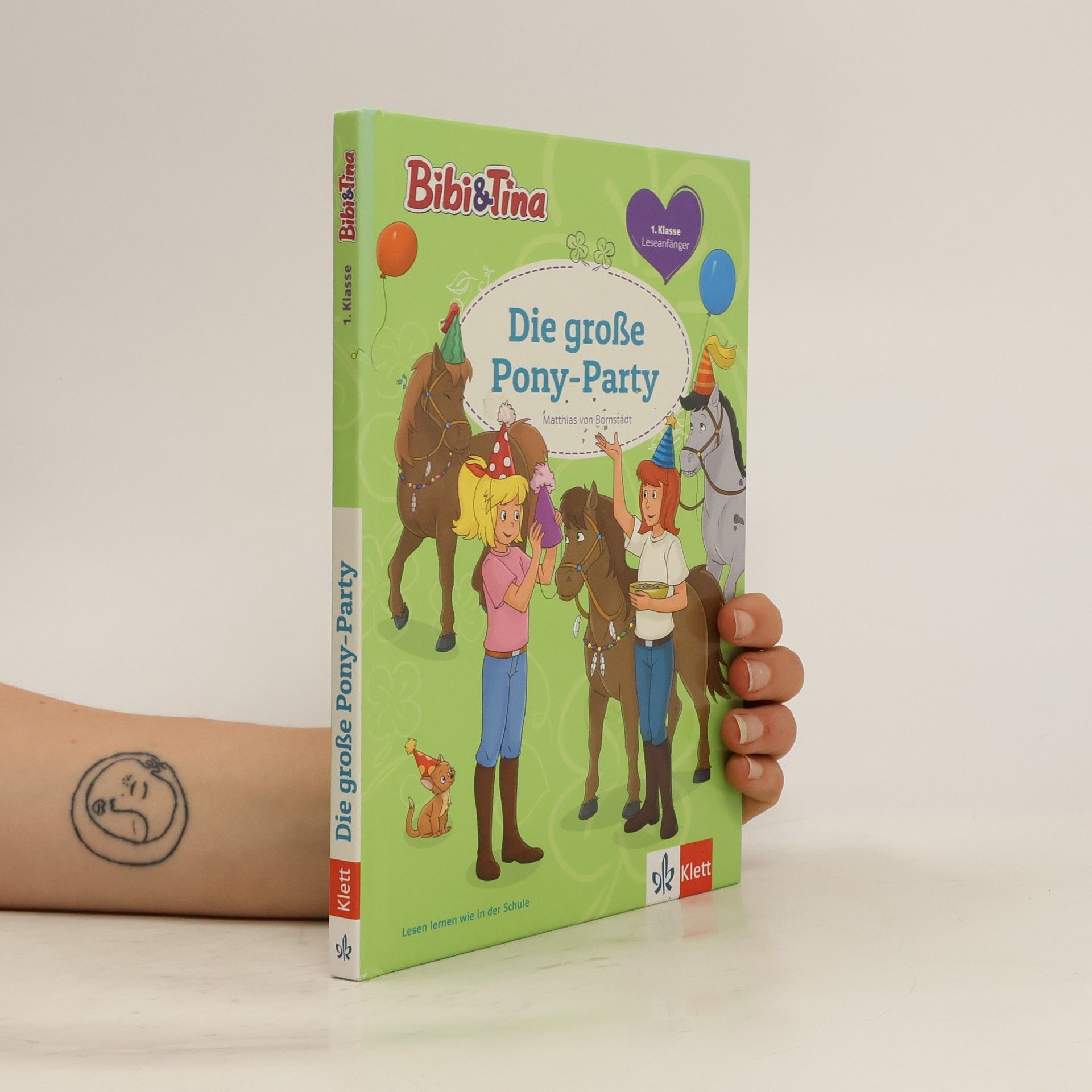Matthias von Bornstädt Die große Pony-Party