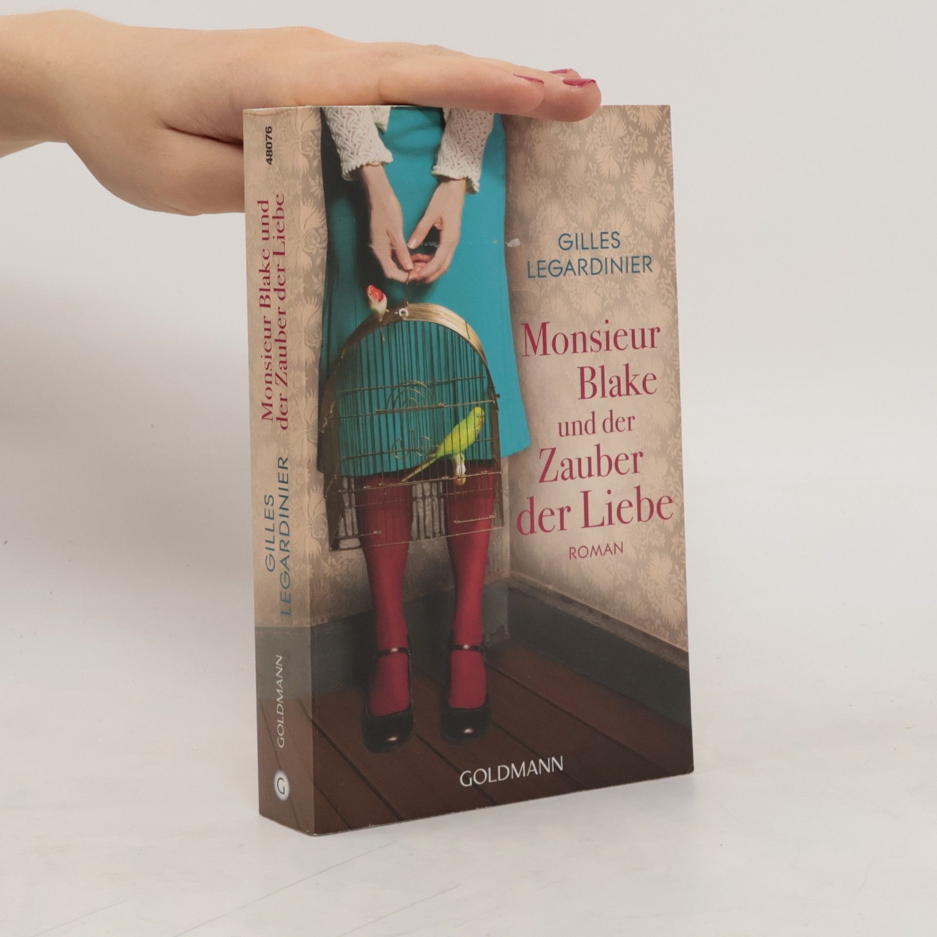 Gilles Legardinier Monsieur Blake und der Zauber der Liebe