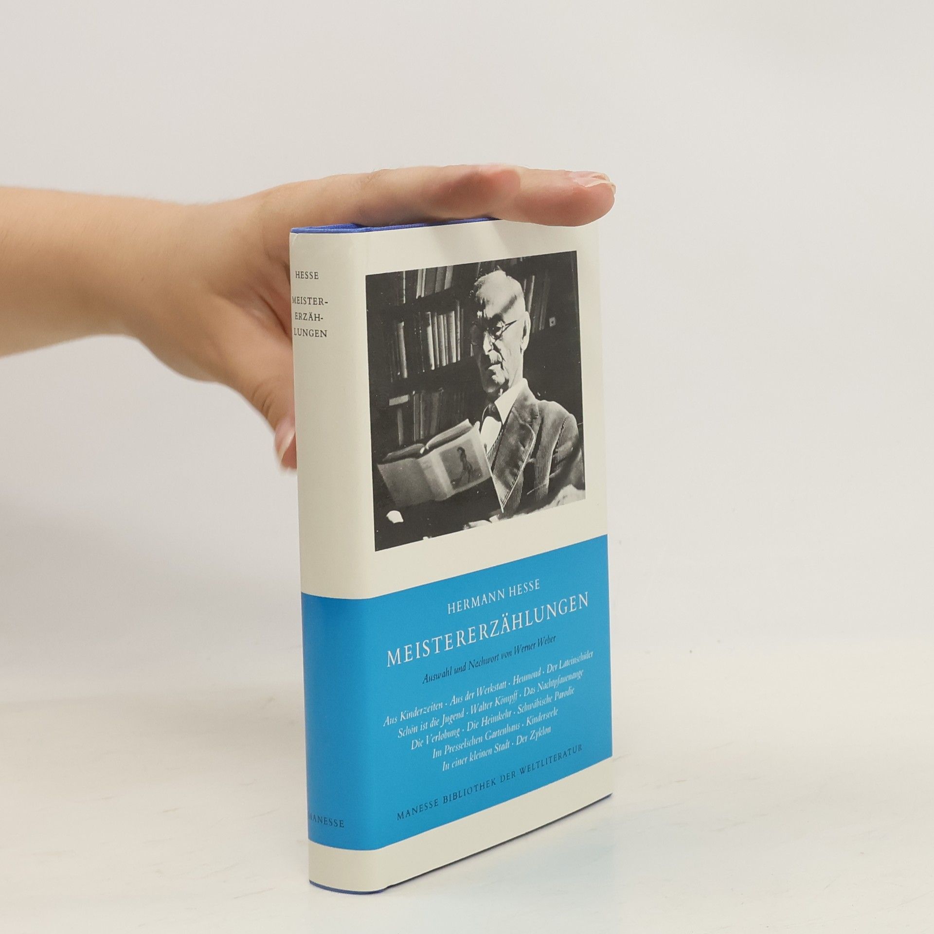 Hermann Hesse Meistererzählungen. Ausw. u. Nachw. v. Werner Weber