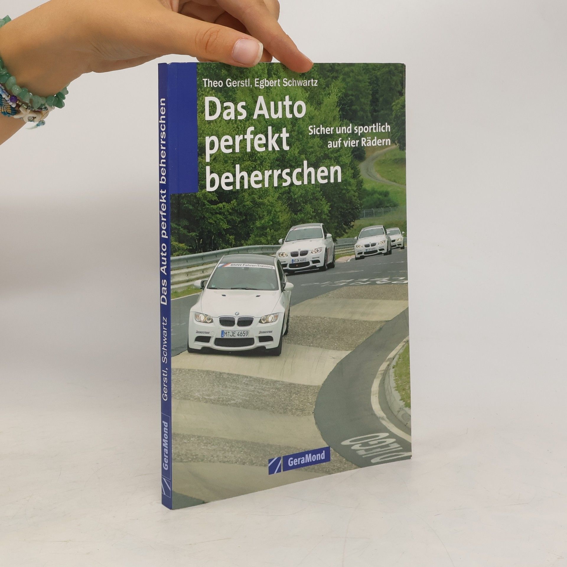 Theo Gerstl Das Auto perfekt beherrschen