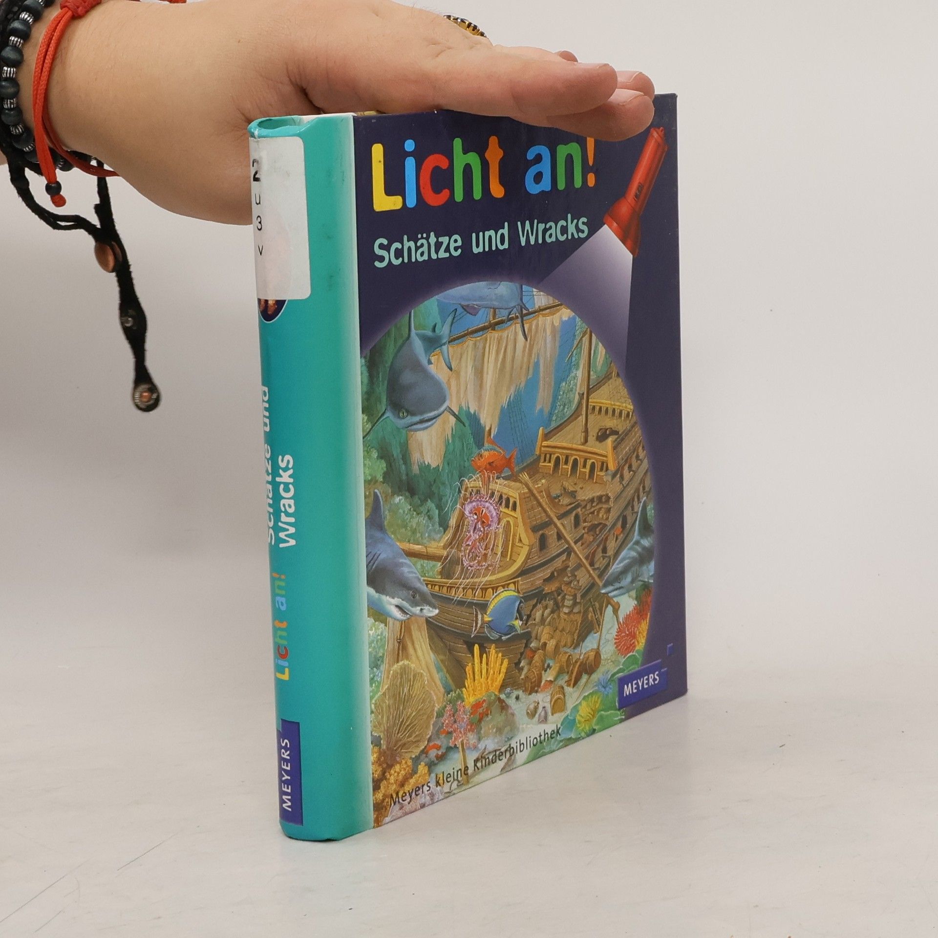 Claude Delafosse Licht an - Schätze und Wracks