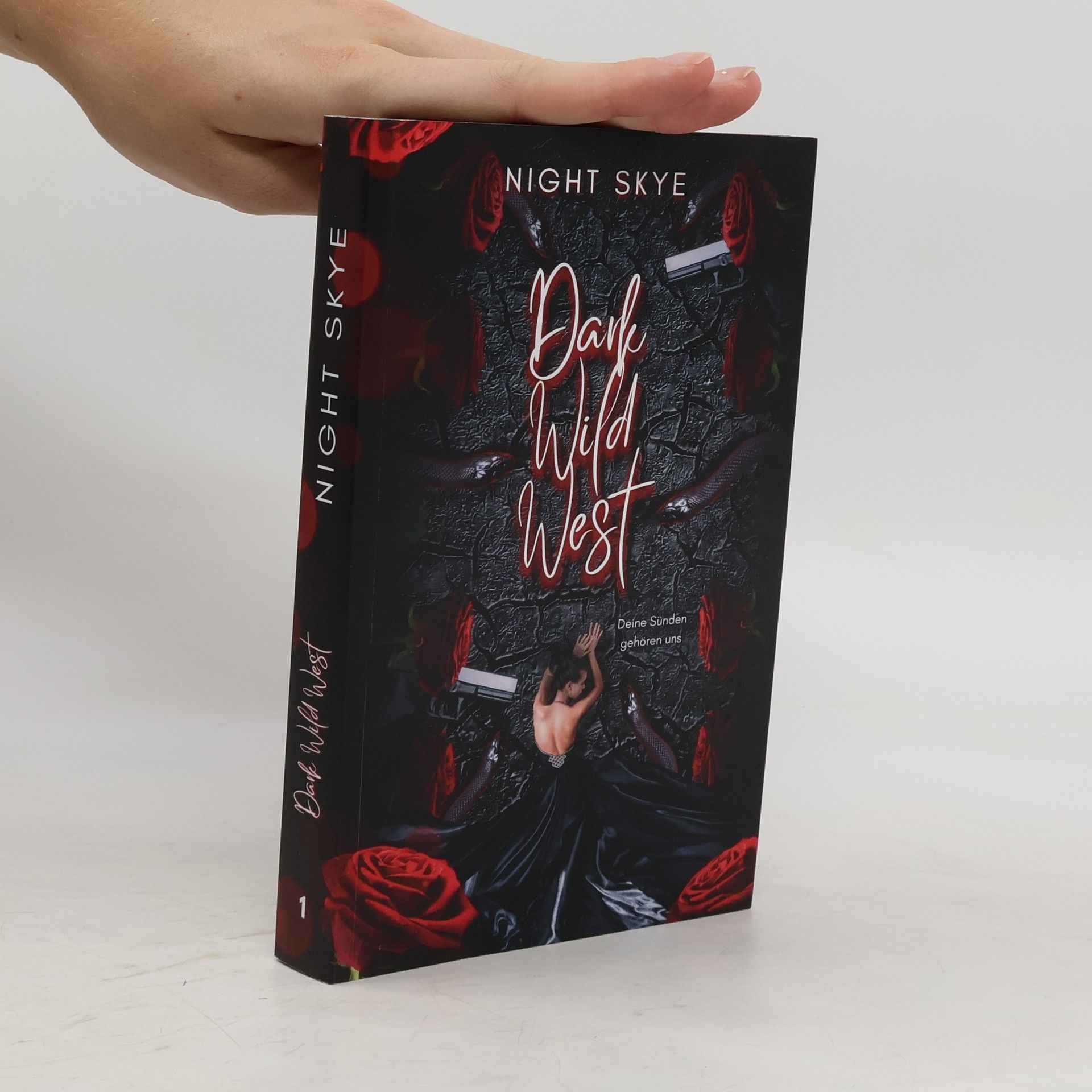 Night Skye Dark Wild West