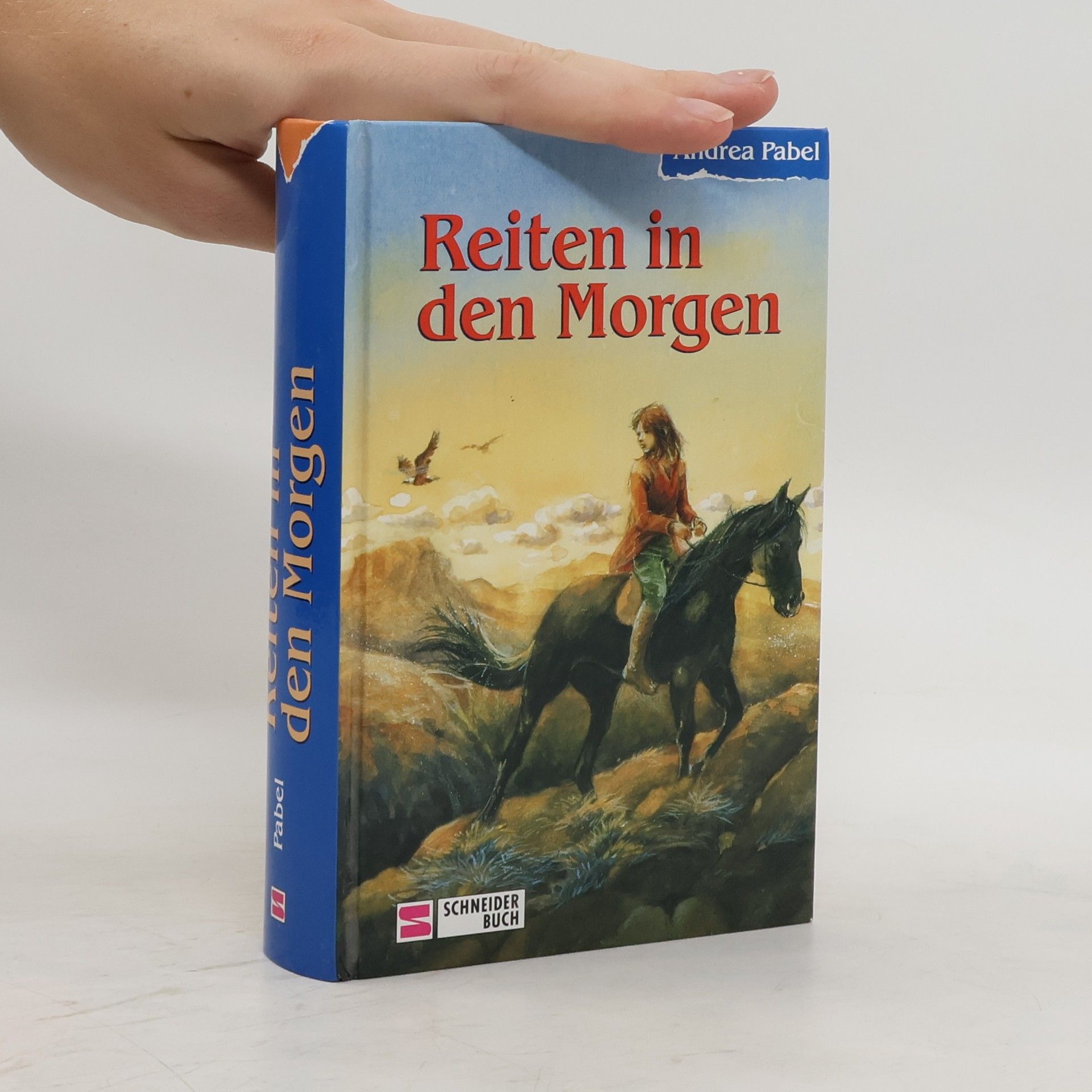 Andrea Pabel Reiten in den Morgen