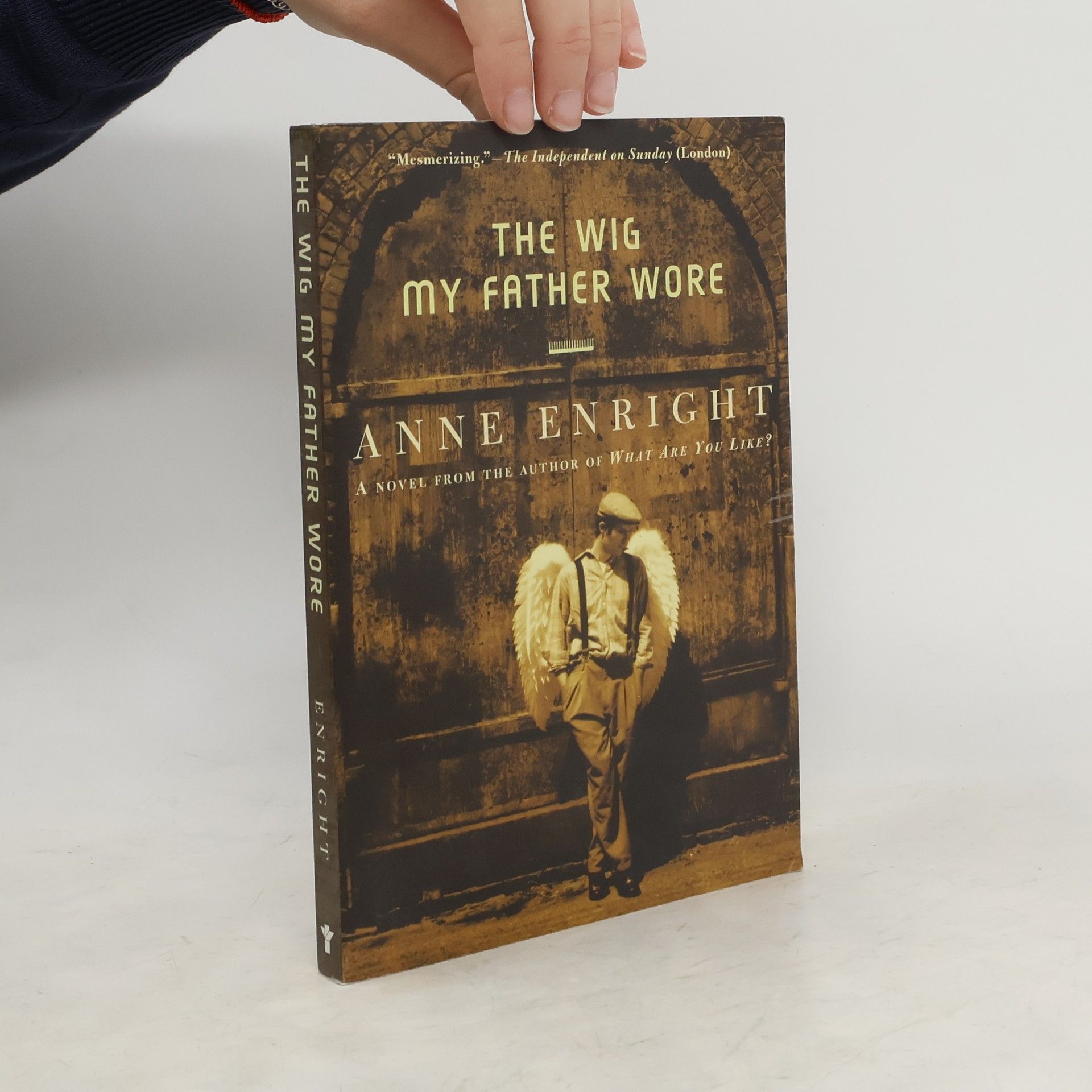Anne Enright The Wig My Father Wore